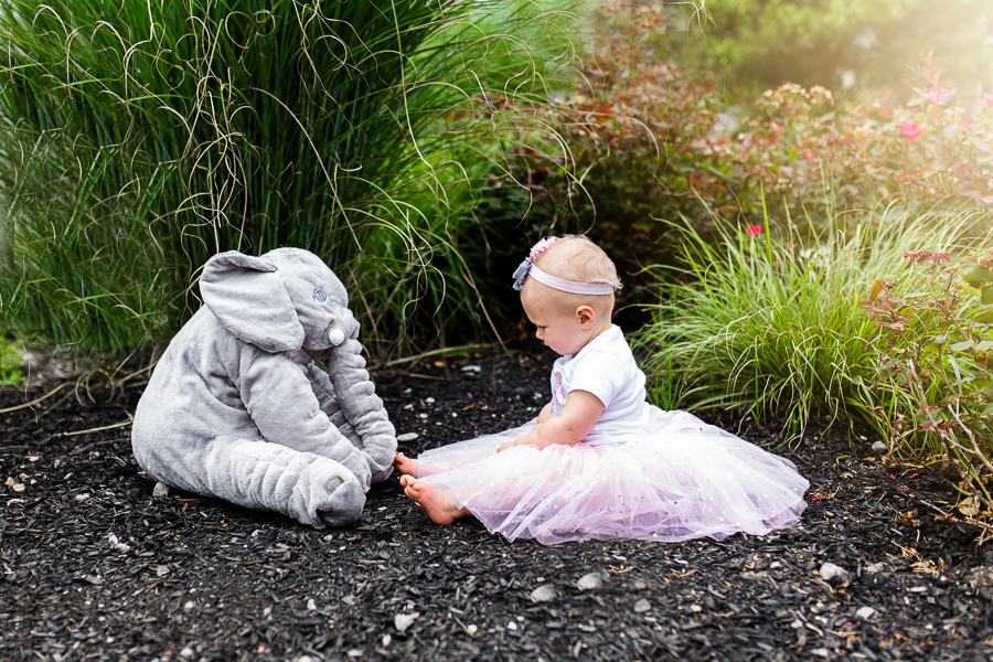 Elephant Themed First Birthday Session