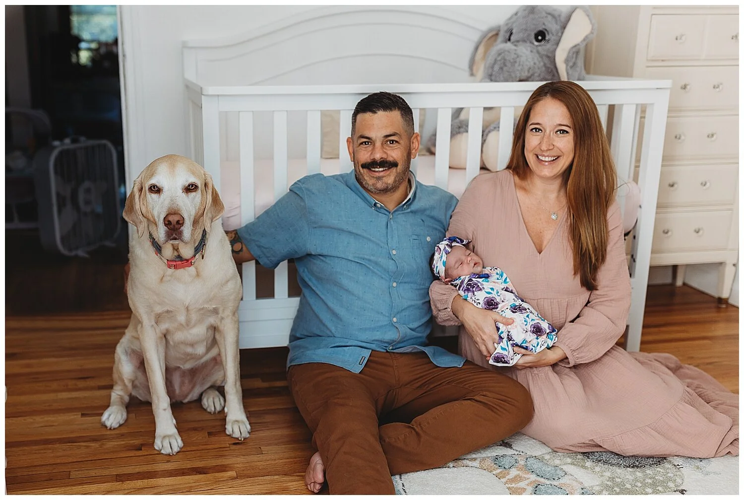 Family dog sitting beside newborn bassinet during Jacksonville in-home newborn session