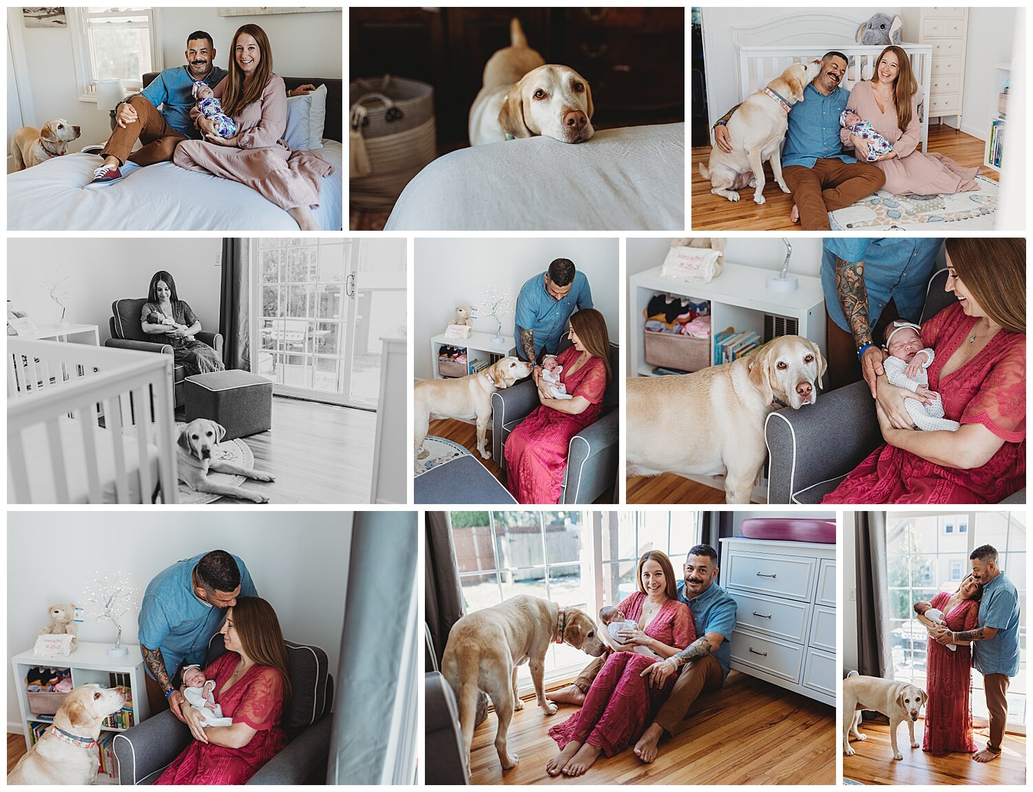 Dog meeting newborn baby during in-home newborn photography session in St. Augustine Florida
