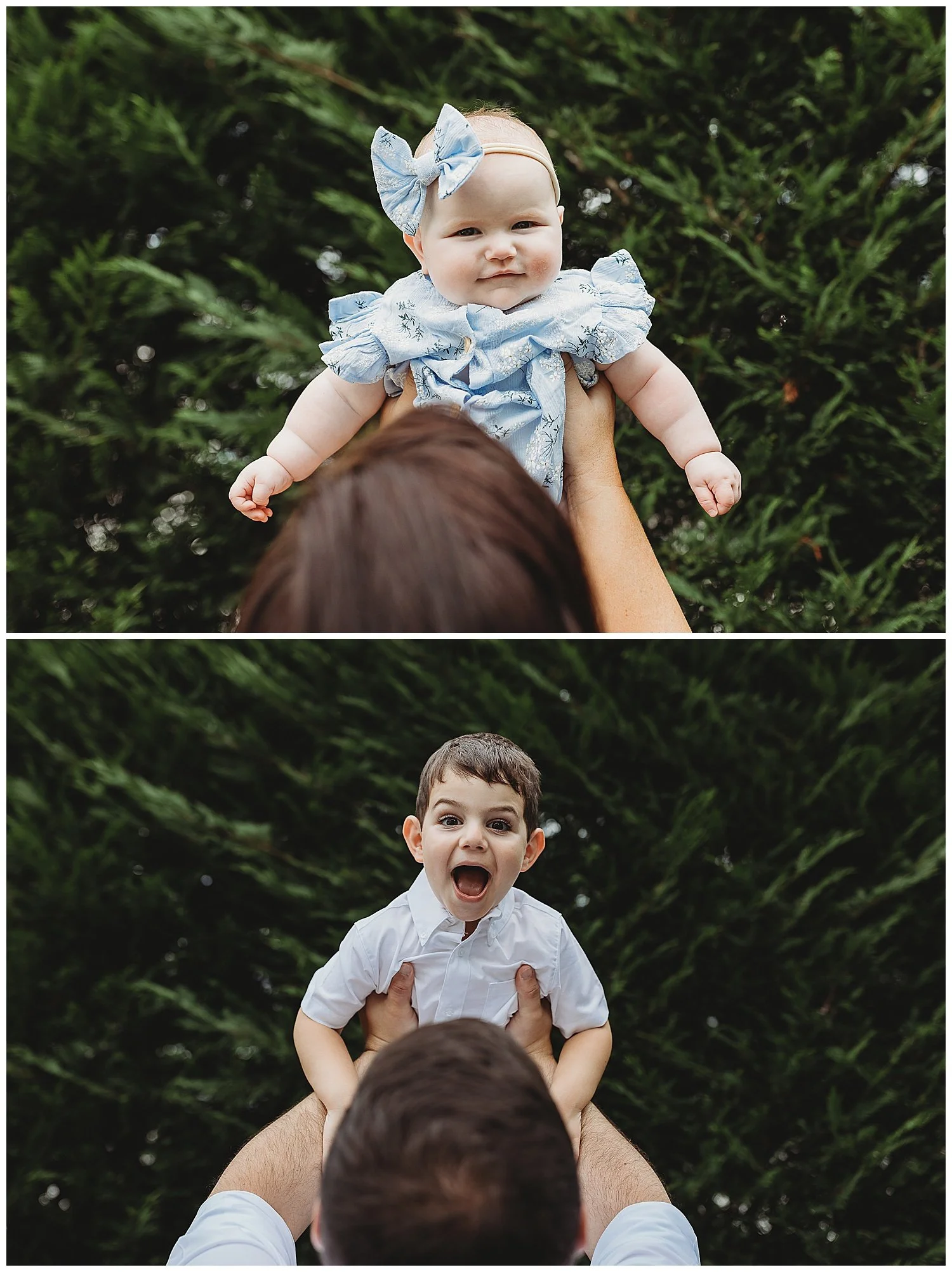 dad holding toddler boy in the air in front of trees and he is laughing