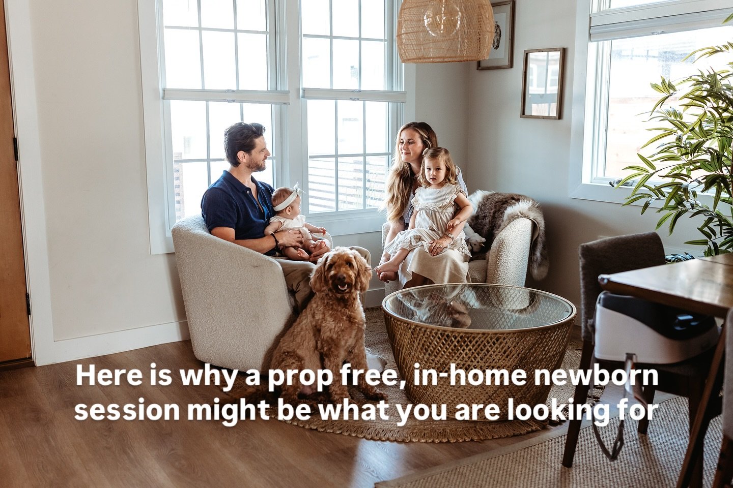 Thinking about newborn photos, but not loving the idea of stiff poses or props?

Here&rsquo;s why a prop-free, in-home newborn session might be exactly what your heart needs. 

✨ It&rsquo;s calm and baby-led
✨ You get to stay in the comfort of home
✨