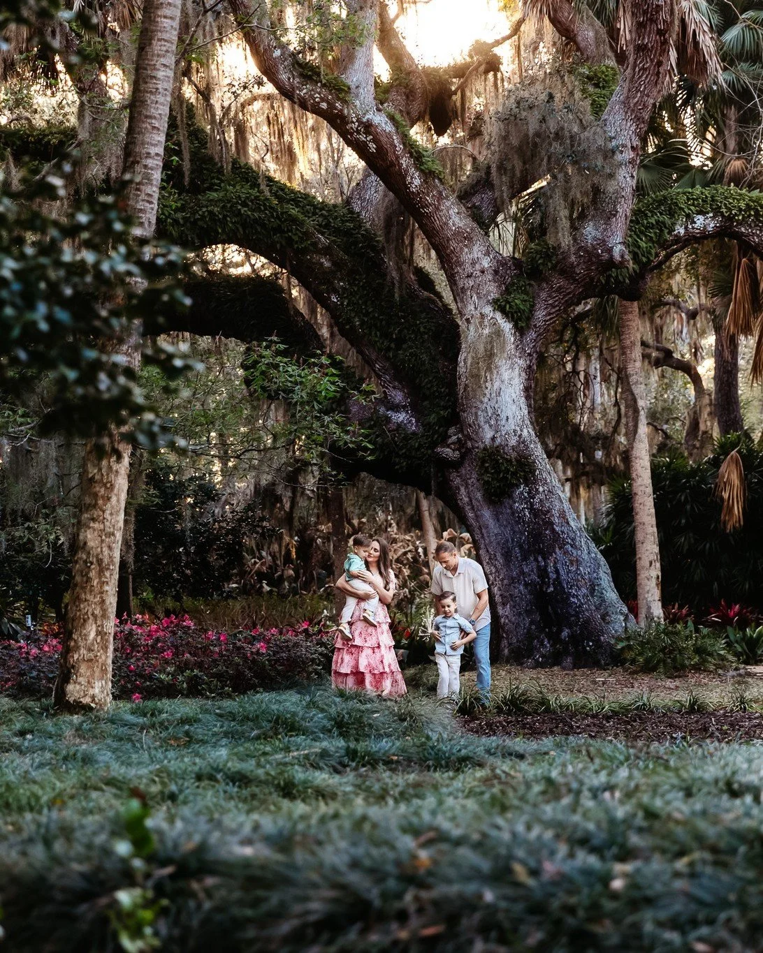 Spring at Washington Oaks is simply magical.
I photographed a session there this week and was reminded how beautiful the light is under the oak canopy this time of year.
I&rsquo;ll be opening a small number of Spring Garden Sessions there this April.