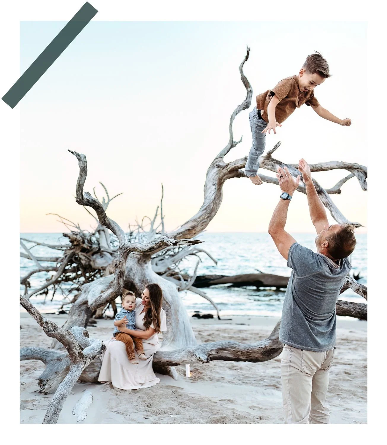dad throwing boy in the air and the boy is laughing the family is on the beach at boneyard beach and their is a large driftwood tree behind them