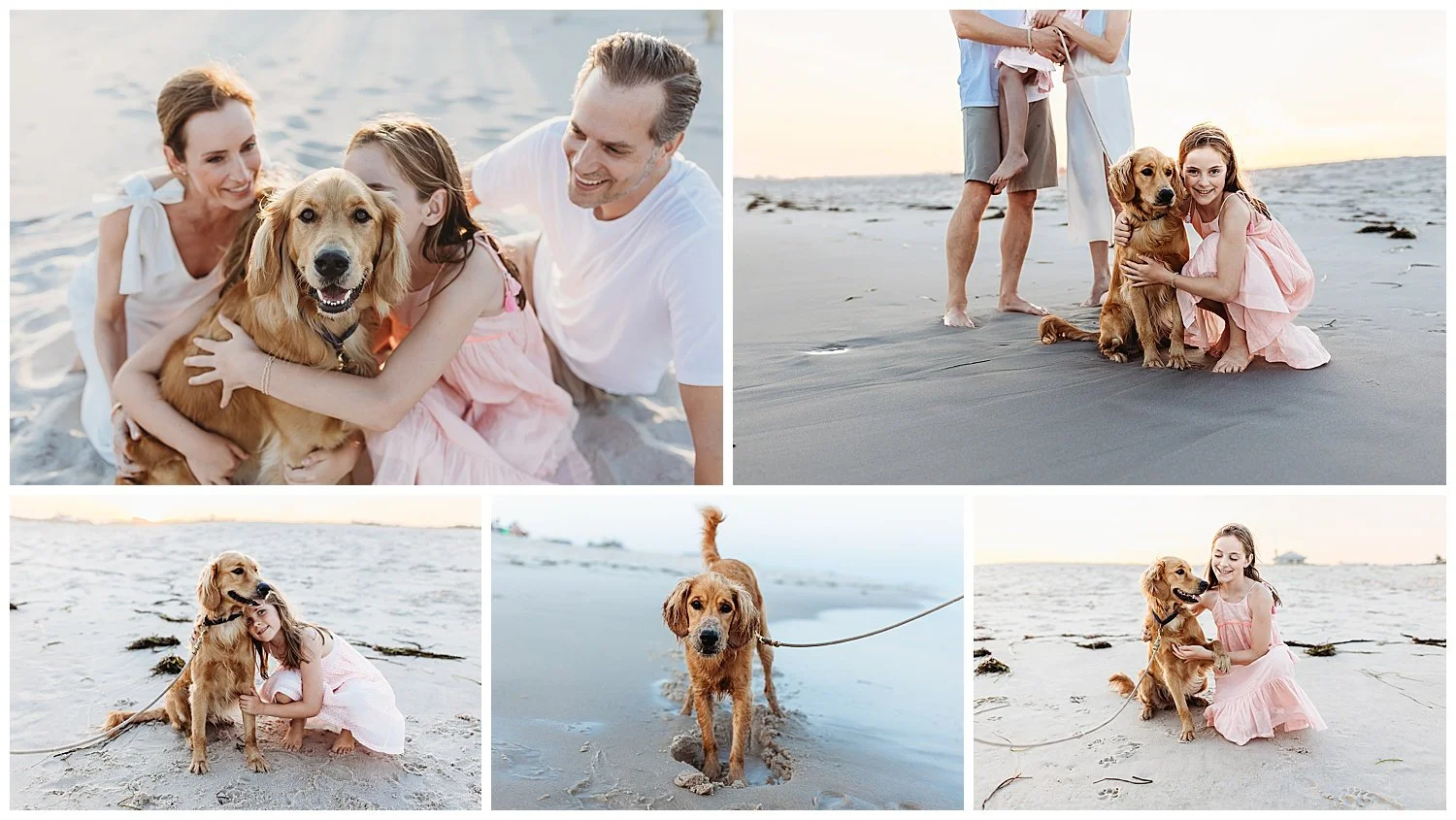 golden retriever on the beach with family in white and pink sand on dog's face and sunset