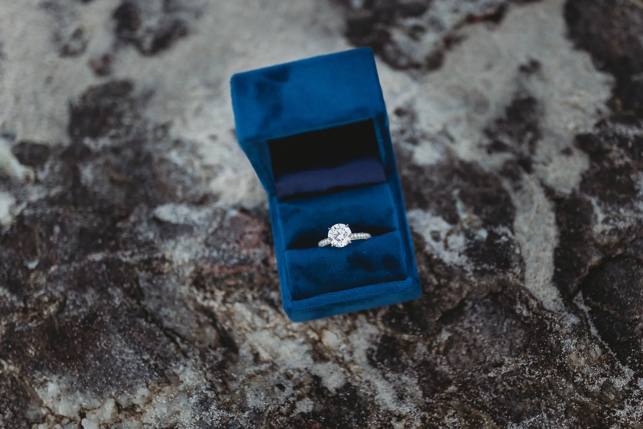 engagement ring in a blue velvet box on coquina rocks in palm coast