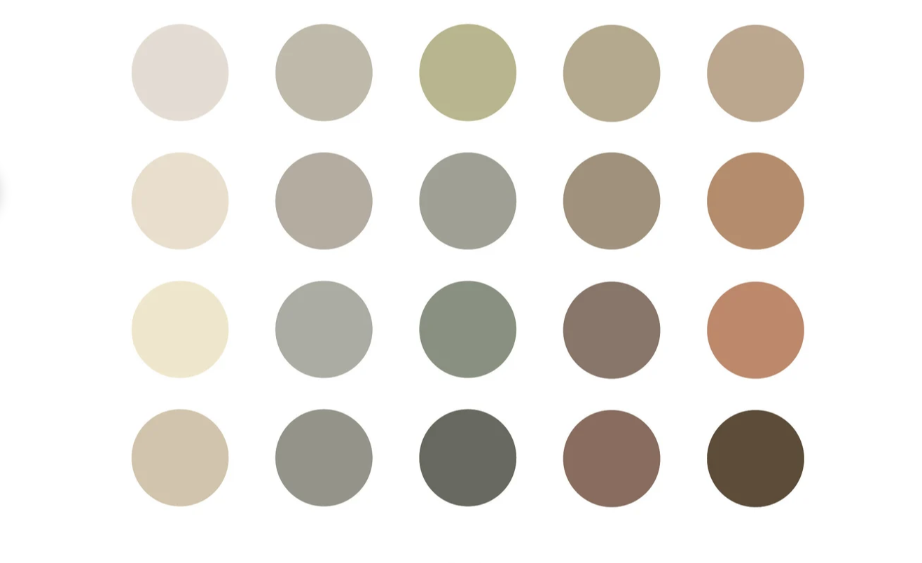 earth tone color palette for beach session