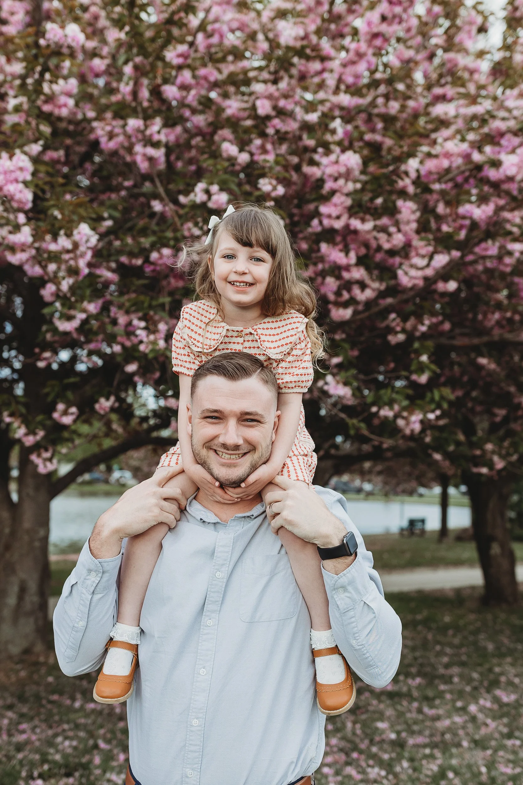 dad with toddler girl on shoulders in front of spring cherry blossom trees and she is laughing
