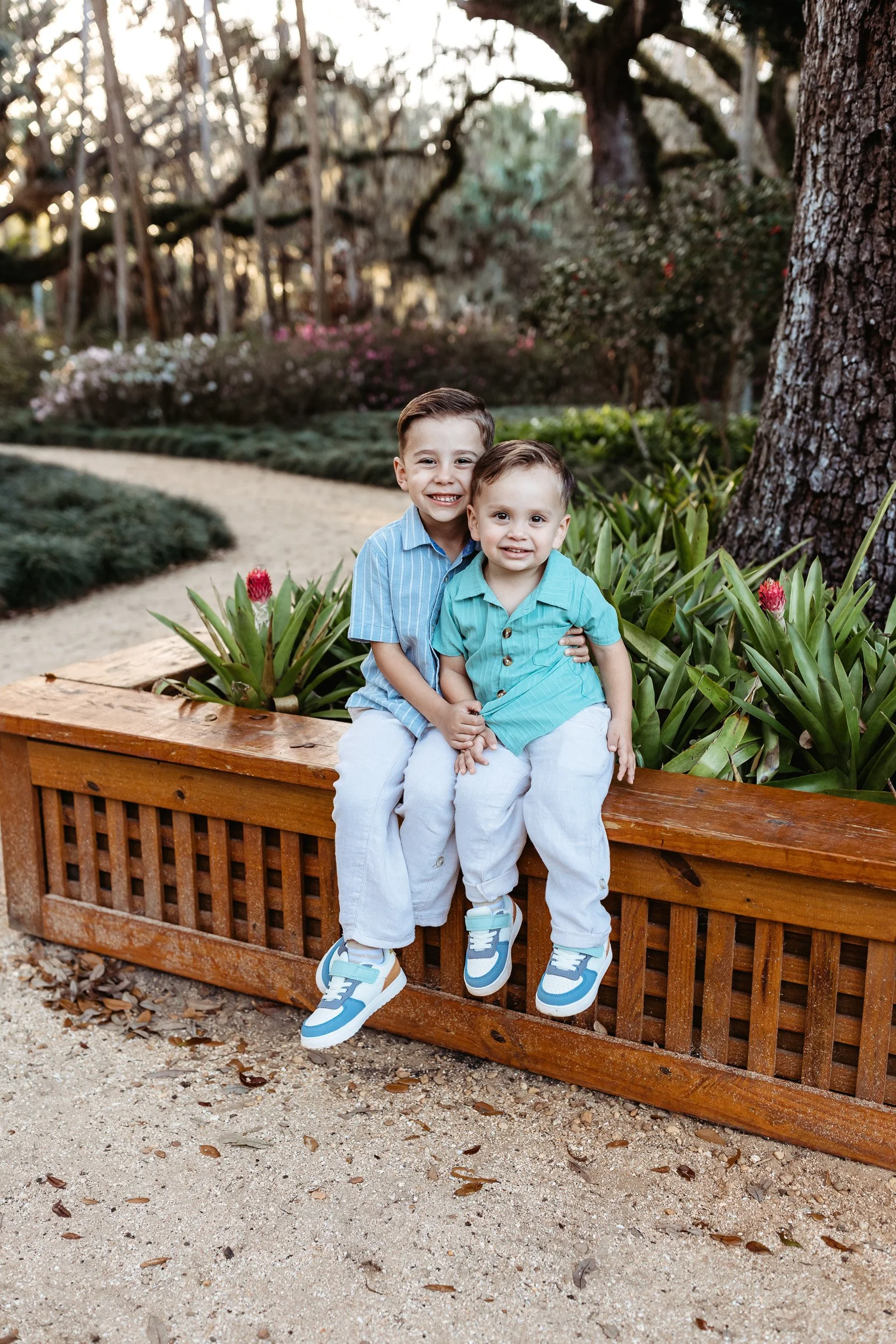 boys on a ledge and they are hugging for family photos and there are tulips behind them