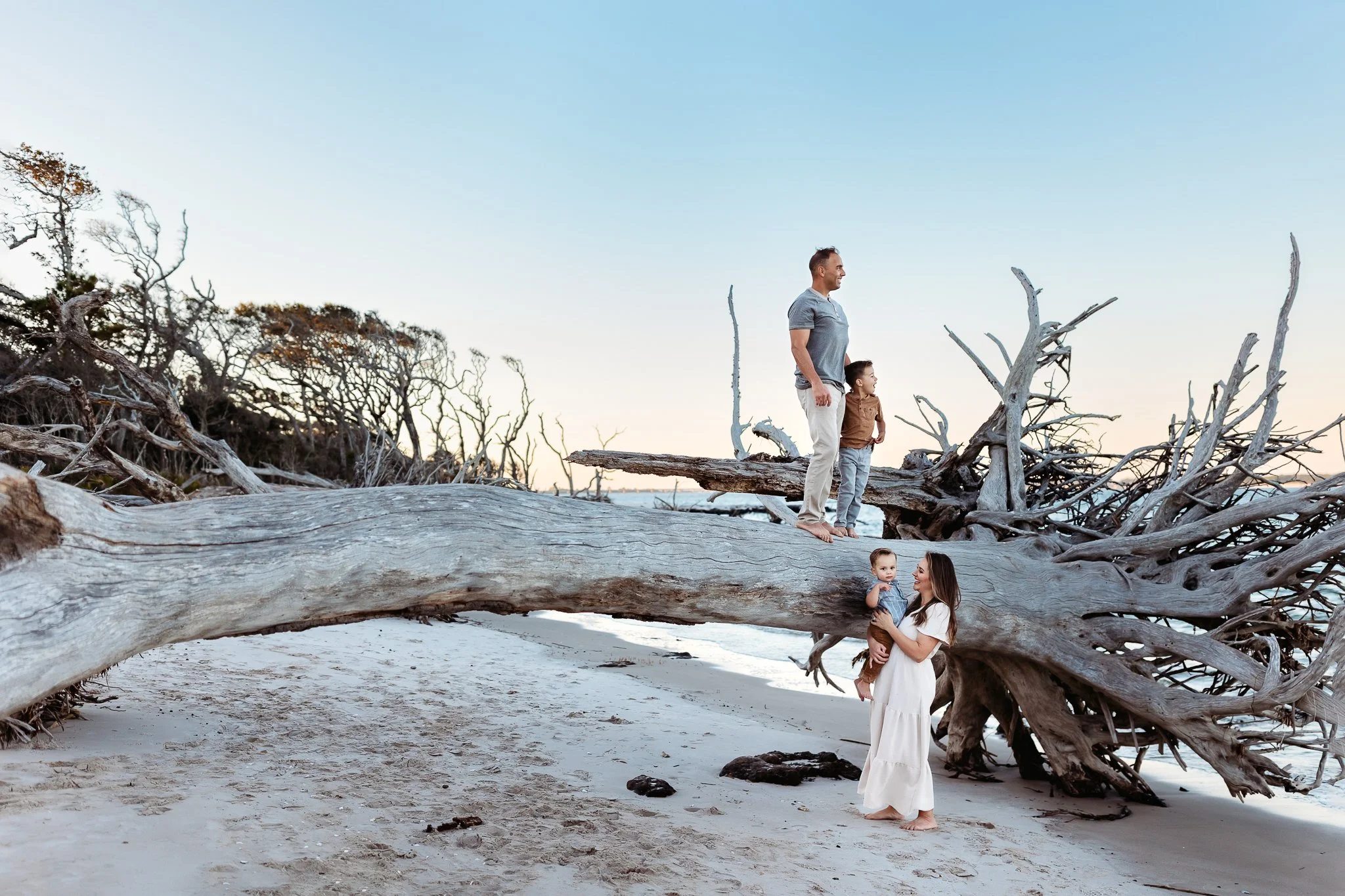 artistic photo of a family on the beach with driftwood and at sunset