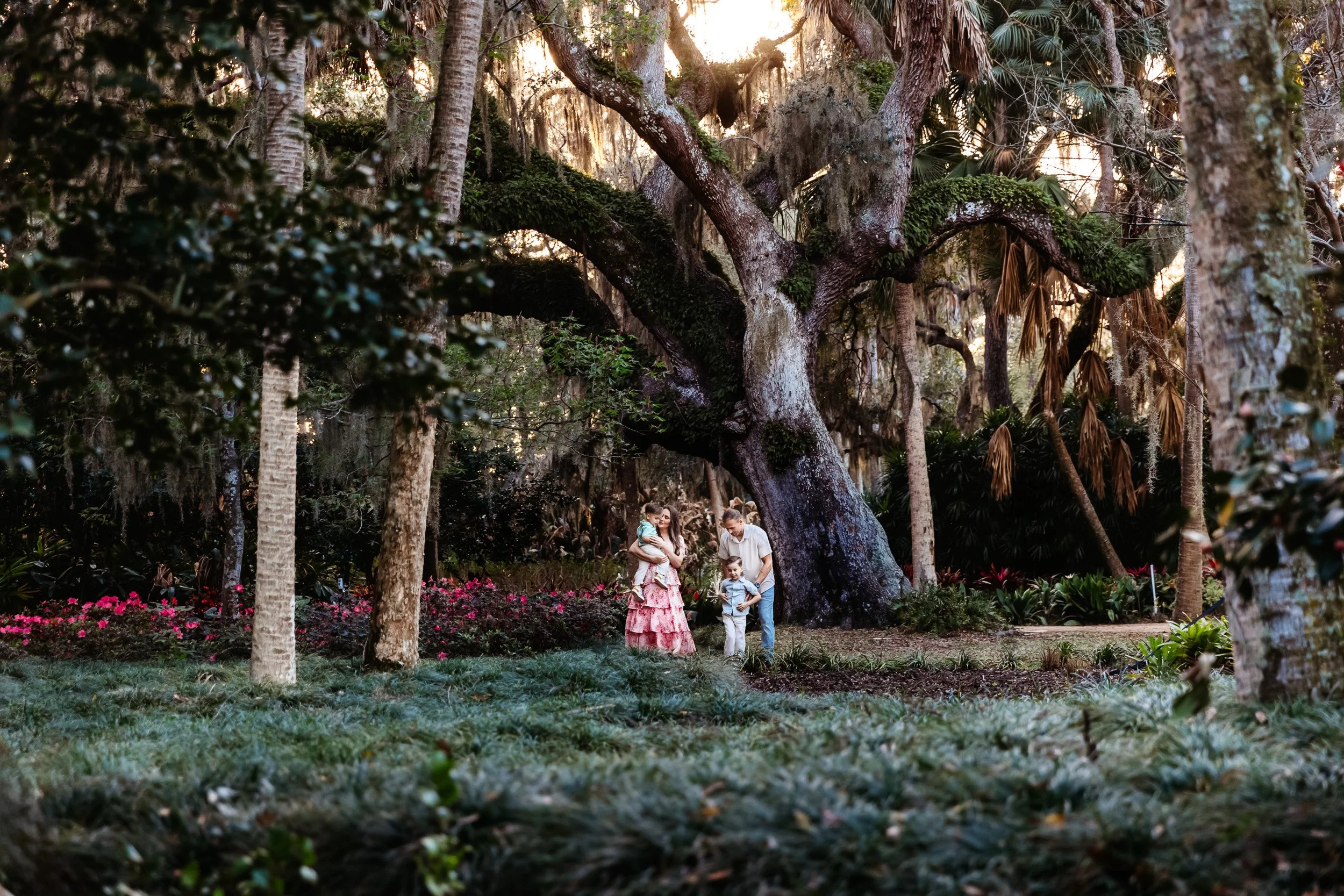 family embraced under a large oak tree in the spring for family photos