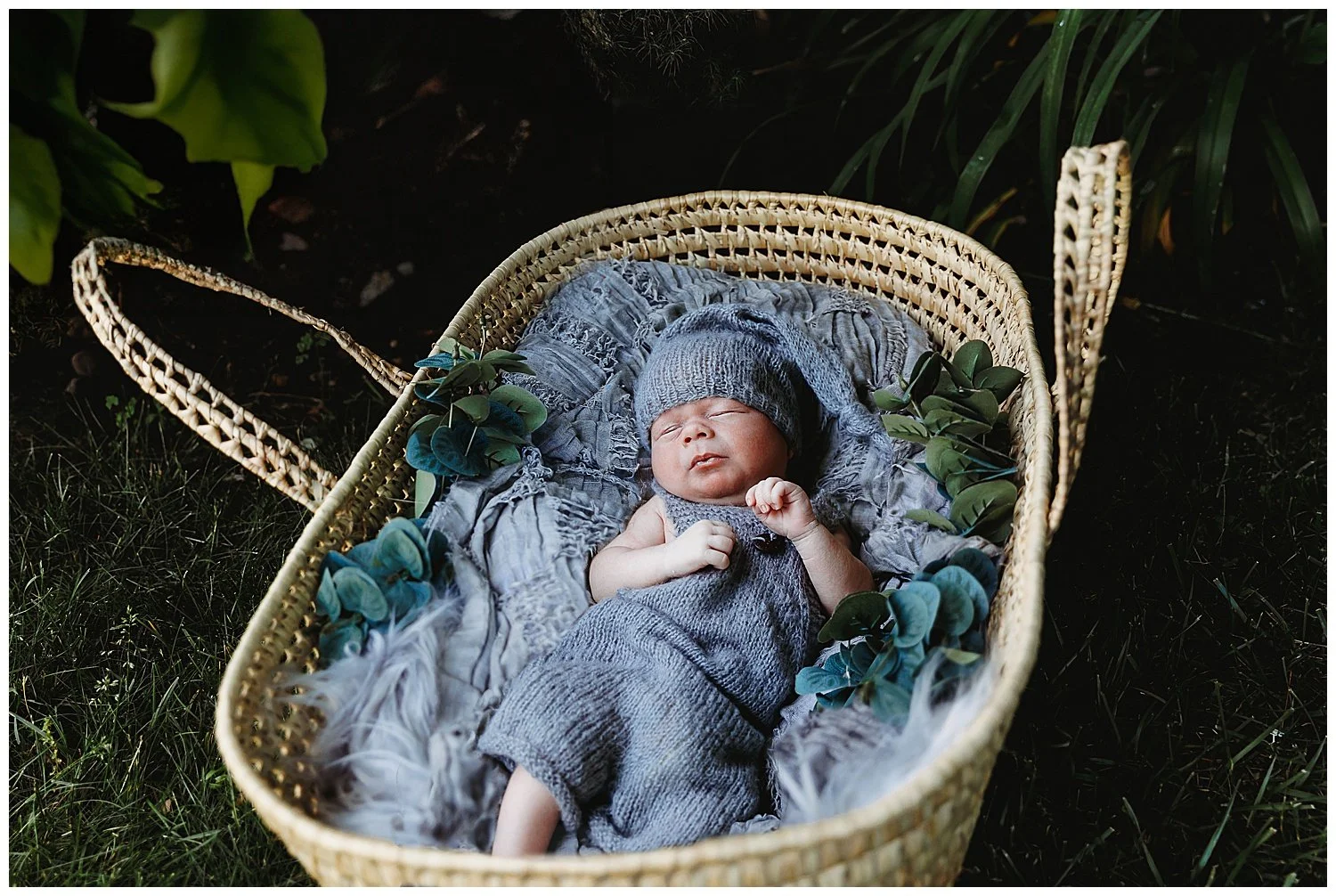 baby boy dressed in grey in moses wicker basket outside in the shrubs