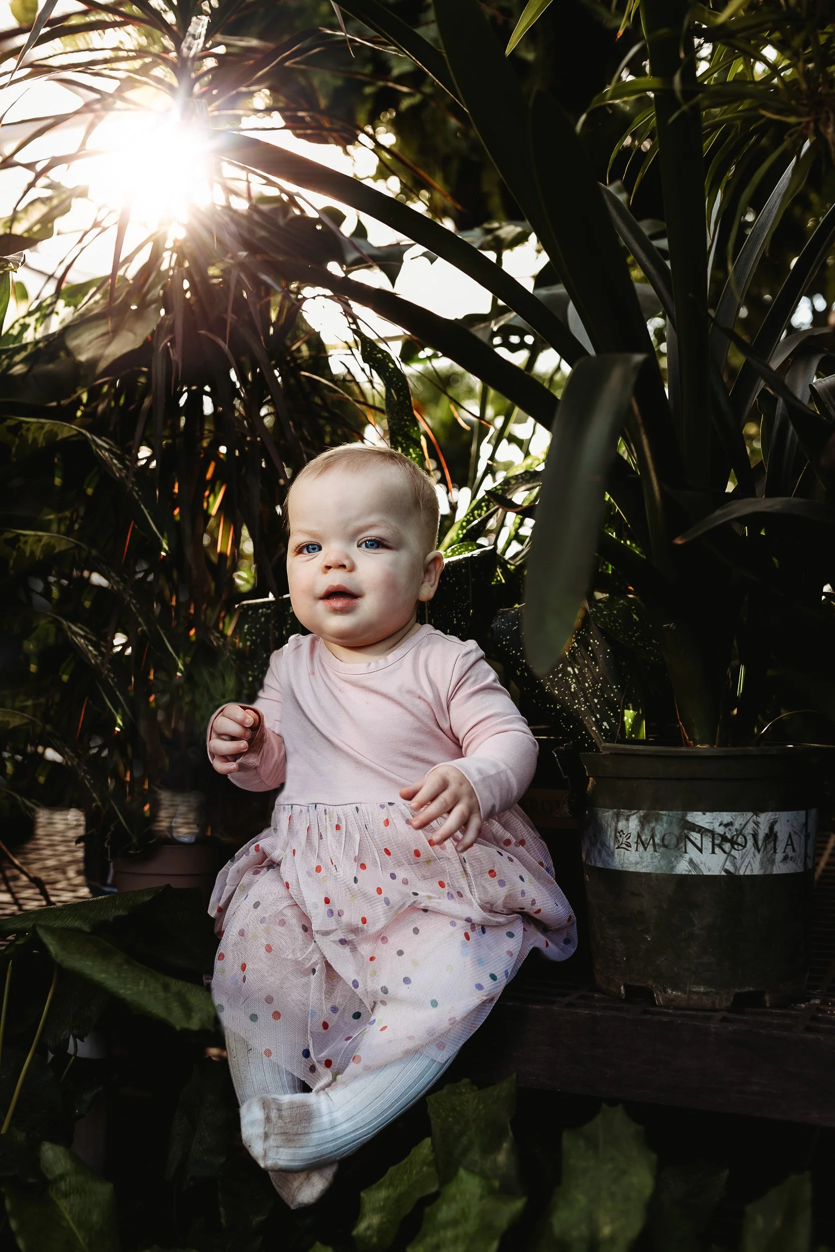 baby girl in a greenhouse with sunlight streaming through for her birthday pictures in crescent beach