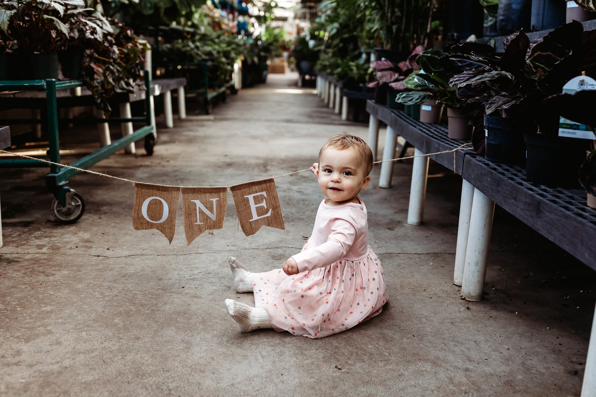 little girl in a greenhouse for first birthday photos in st augustine