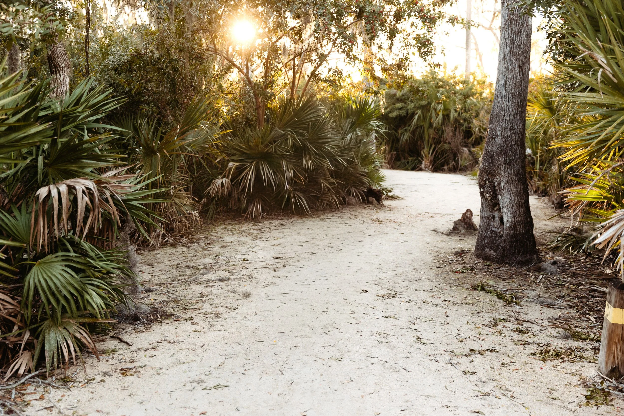 path along cradle creek preserve at sunset