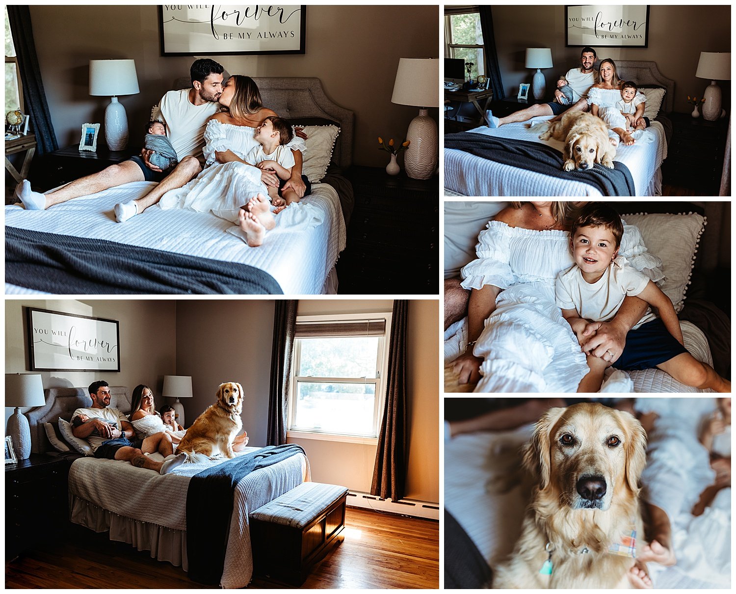 family in master bedroom cuddled up on bed and golden retriever is on the bed with them dad holding swaddled baby boy