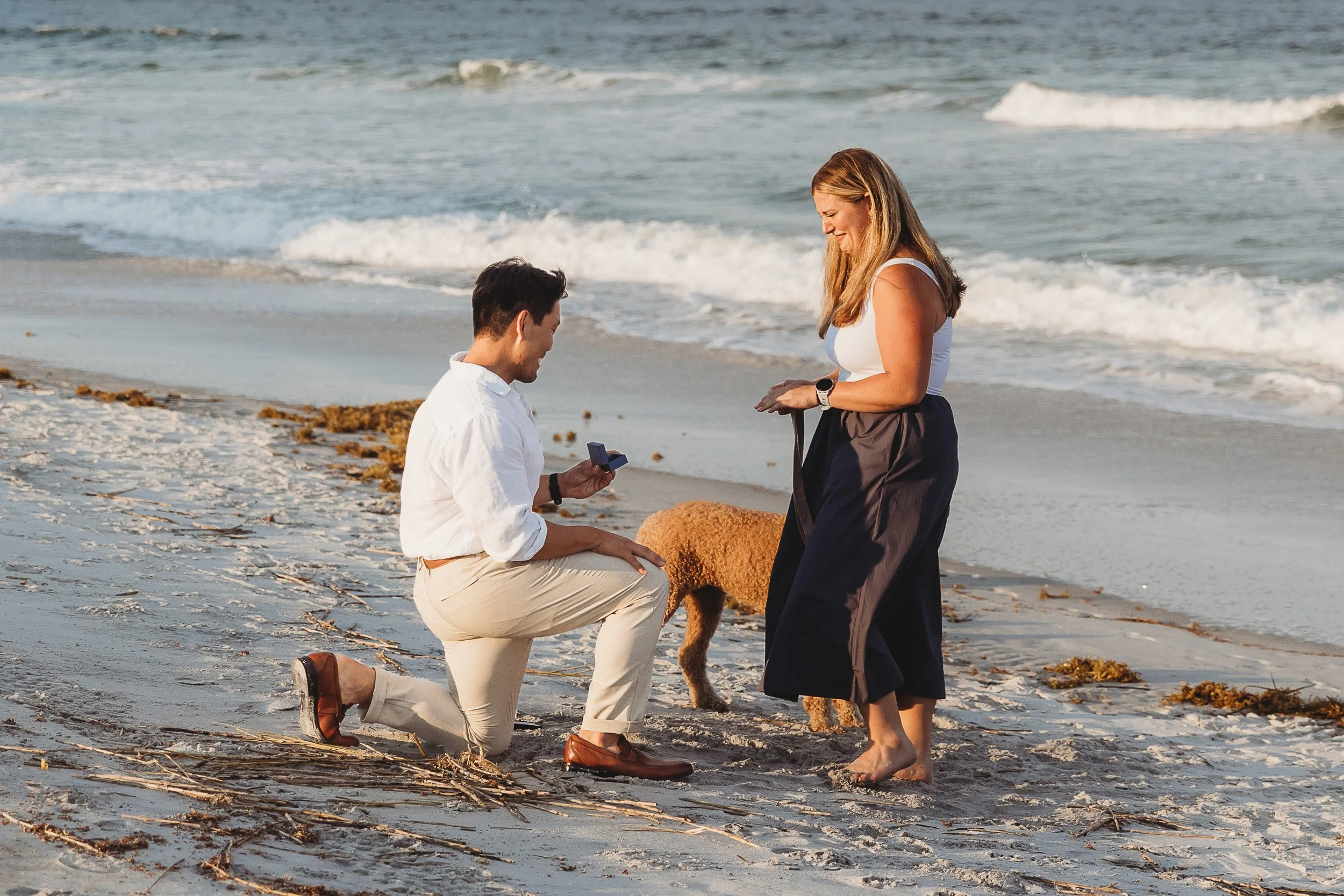 man proposing to a woman on porte vedra beach near the Ponte Vedra inn and club and there is a golden doodle with them 