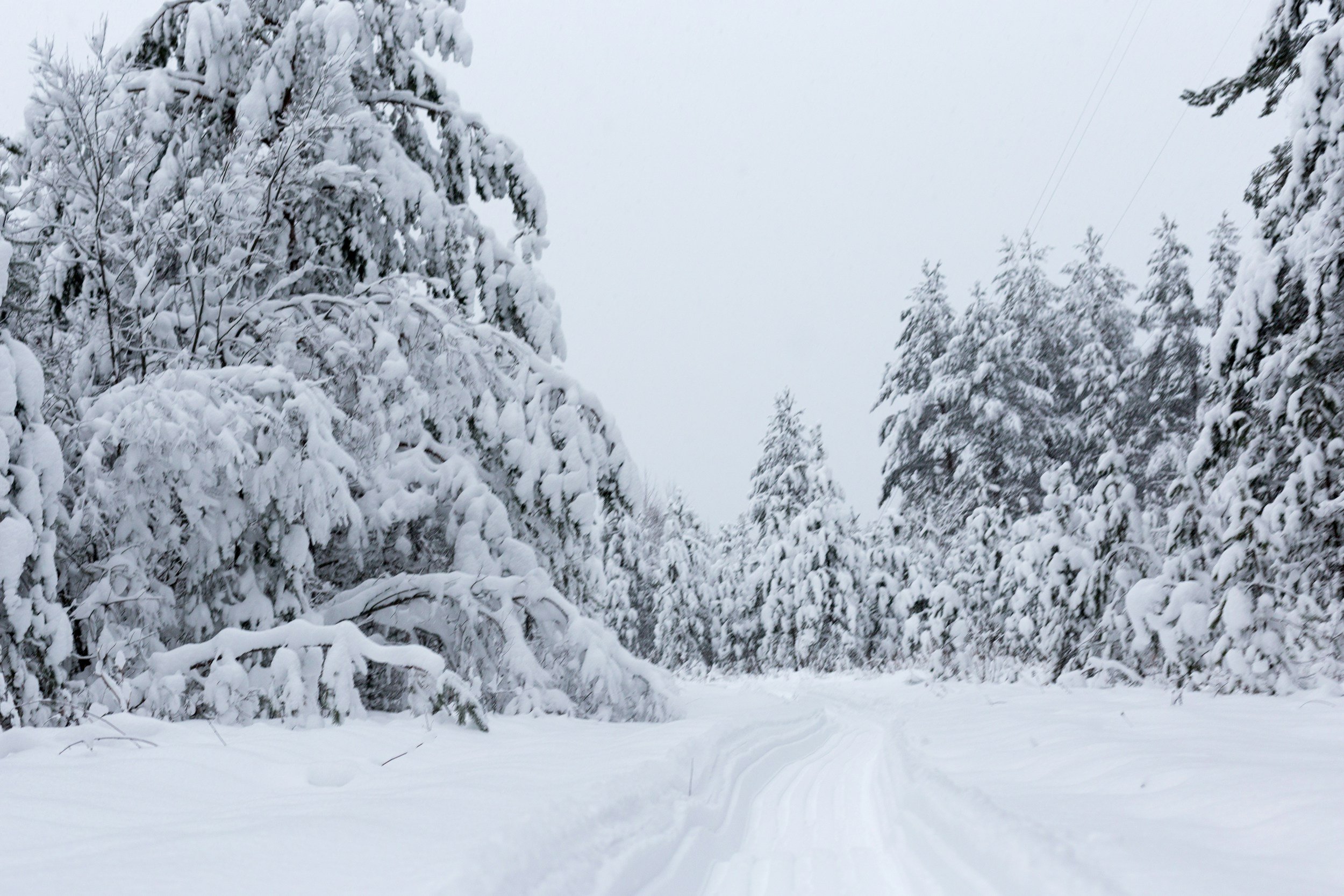 Understanding Humidity Changes and Your Piano