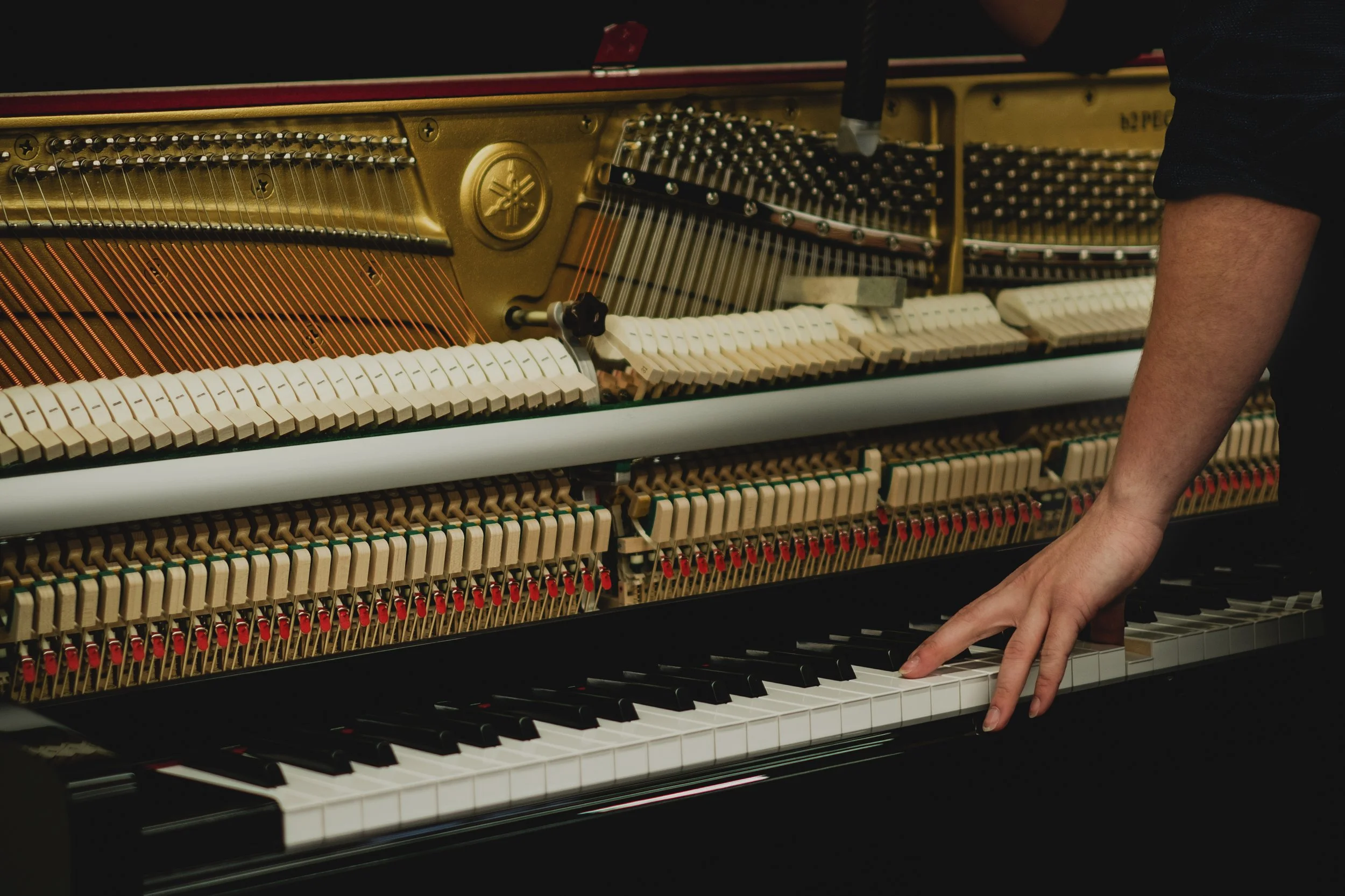 Contact us | Vanguard Piano Service | Piano Repair Service Kansas city ...