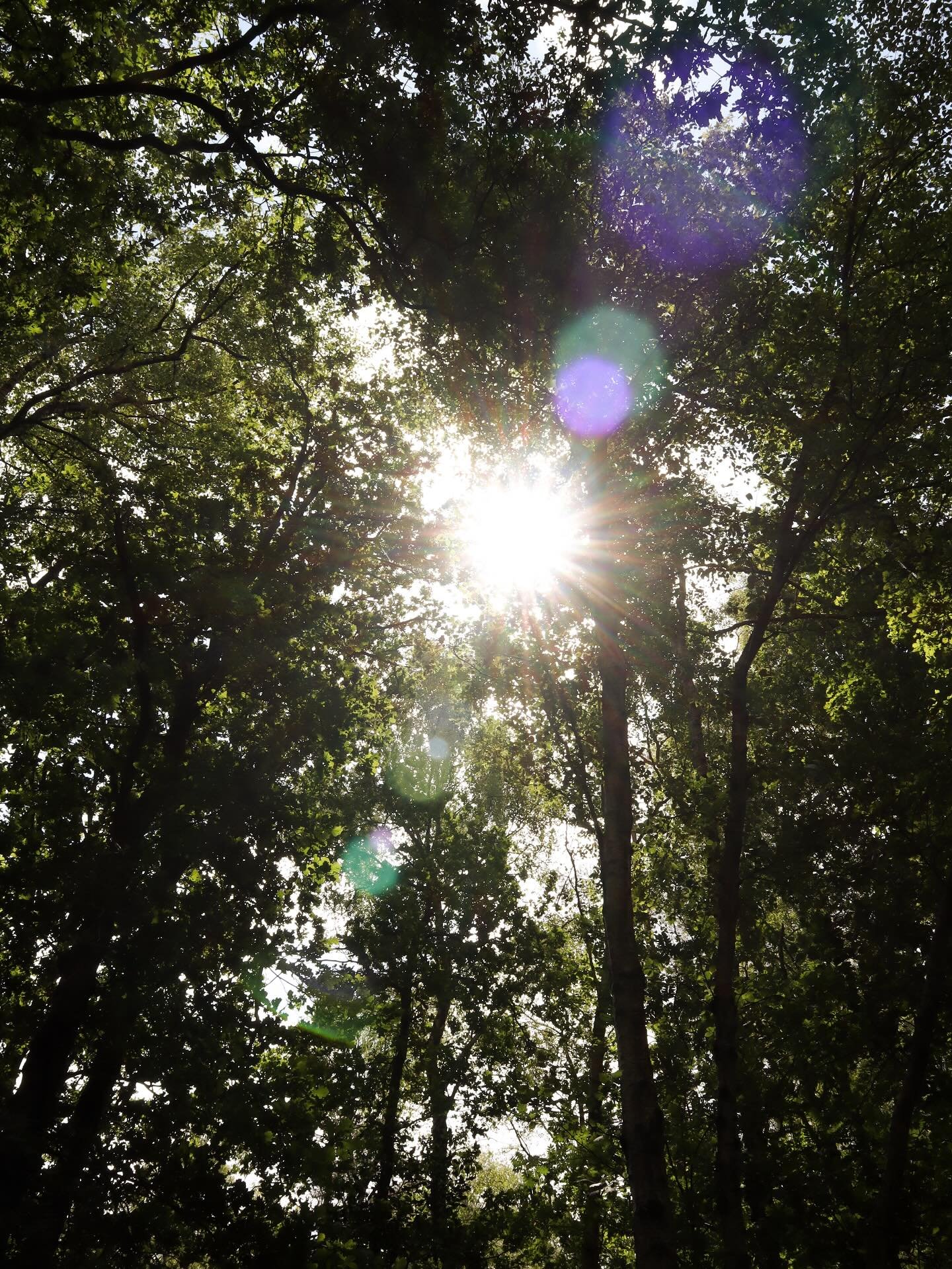 Happy Summer Solstice!🌞

Today, we welcome the longest day of the year &mdash; with the sun rising at 05:18 and setting at 22:06 (Amsterdam time), we&rsquo;re gifted nearly 17 hours of daylight.☀️ It marks the official start of Summer.🌻

This is a 