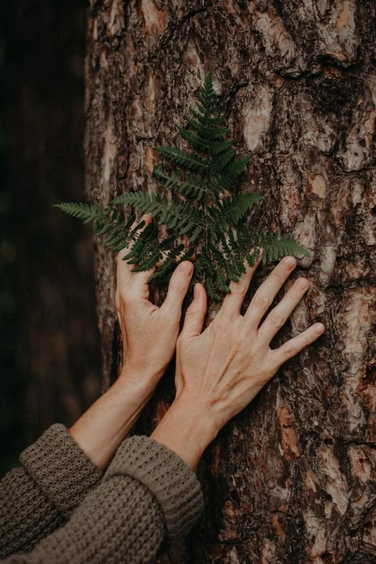 Shift into Autumn: Half-Day Retreat