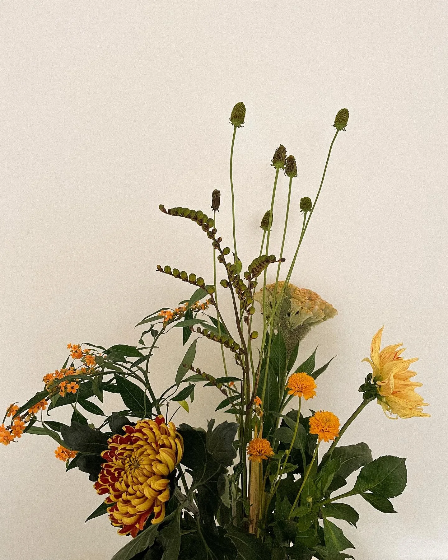 Happy Autumn Equinox 🧡

Blessed Mabon 🤎

To you all!

Autumn is here.

Yesterday we celebrated the new seasons: Autumn &amp; Libra season in ceremony. Thank you beautiful women for celebrating together🫶

Today we celebrate and honor the light &amp