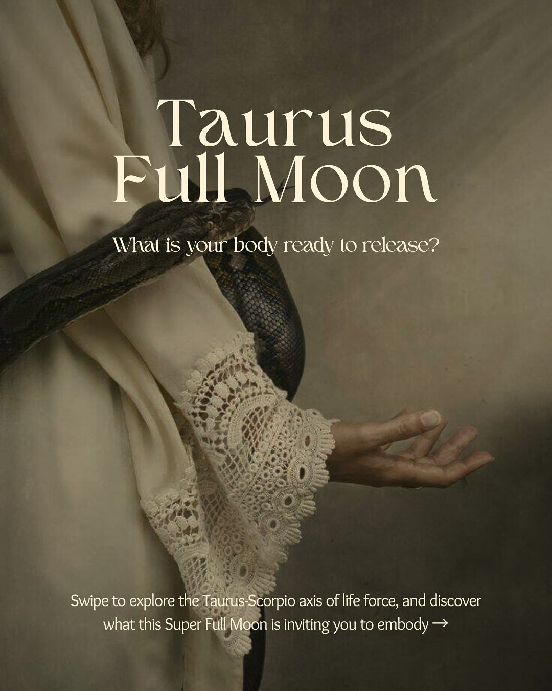Taurus Full Moon 🌝🐍

Today at 2:19 PM (CET), the Full Moon reaches her peak in Taurus, illuminating the path between earth and underworld, body and shadow.

This Super Full Moon invites us to embody transformation&mdash;to return to our bodies and 