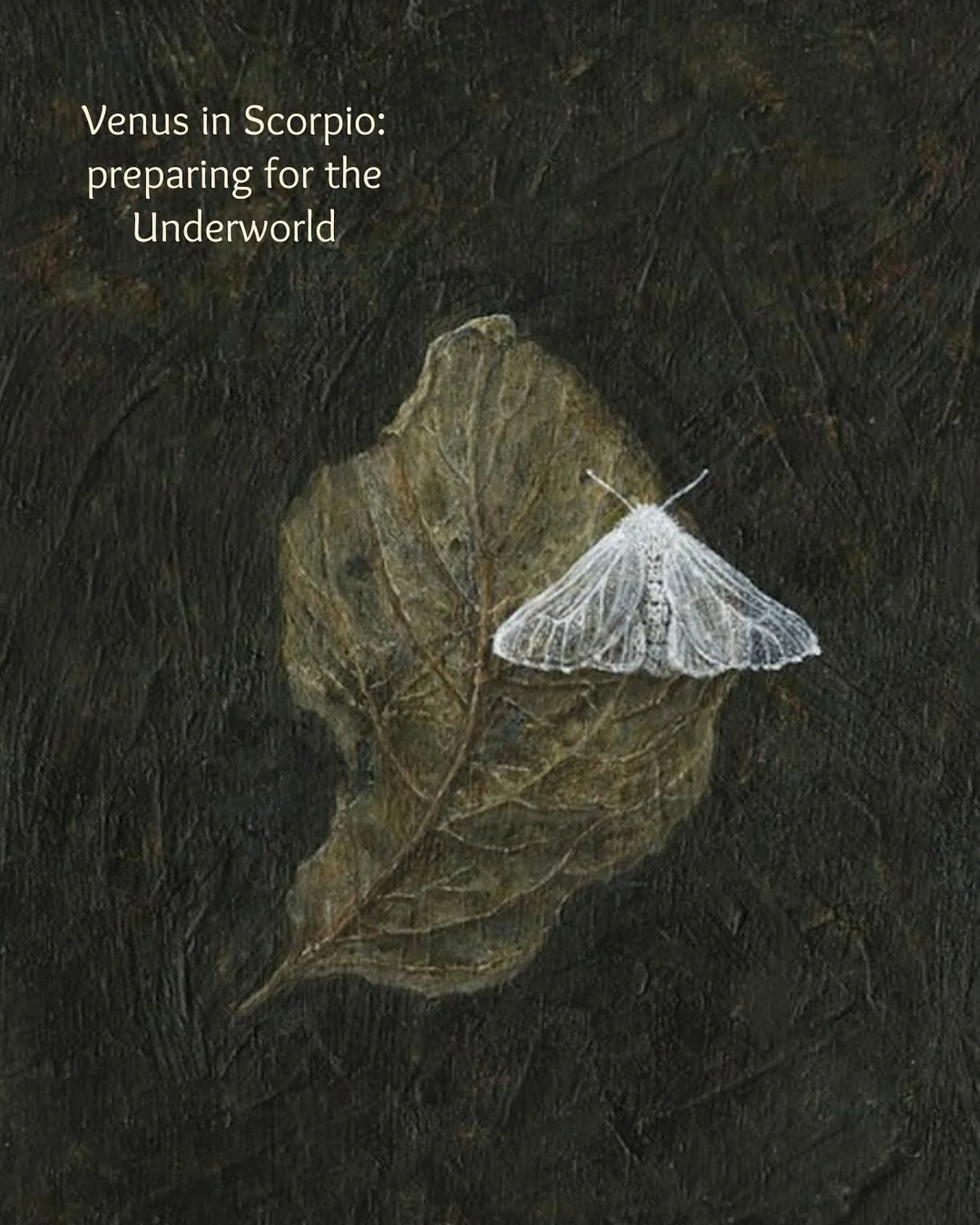 Venus in Scorpio: Preparing for the Underworld 🐍🦂🦋

Venus is moving from Libra into Scorpio tonight at 23:40.

We&rsquo;re already in Scorpio season - the Sun entered Scorpio on October 24th. Now Venus joins, intensifying the Scorpio energy.🦂

Th