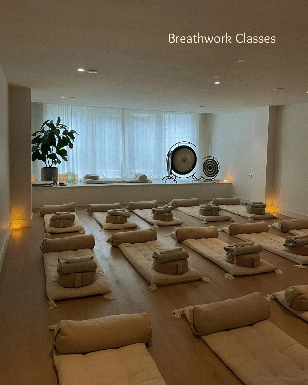 Breathwork Classes 😮&zwj;💨🫁

In December you can find me at @oracleyspace for two breathwork classes each week:

🤎 Thursday | 18.30 - 19.30
Energising Breathwork (with shamanic instruments)
A dynamic breathwork journey to energize the body and so
