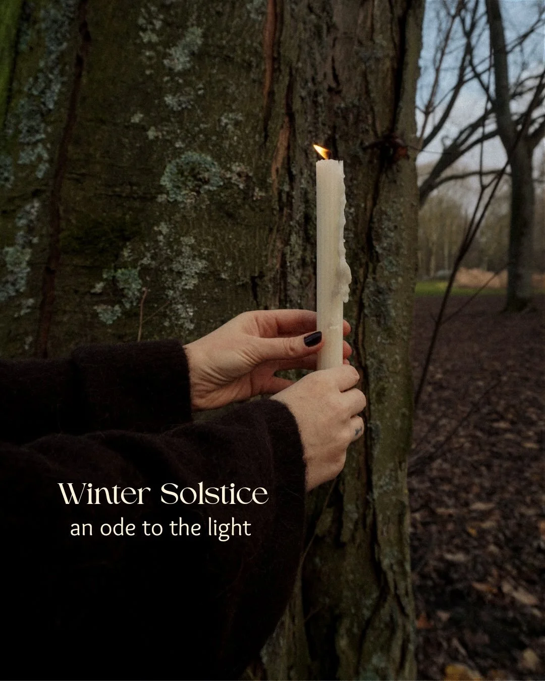 Dear light, I welcome you Back Onto the Earth And into our lives.

Dear light, I ask you To bring us Warmth, Hope, And new beginnings.

Dear light, Let your light Be a reminder Of the darkness That we have survived. It is you who guided us through, A