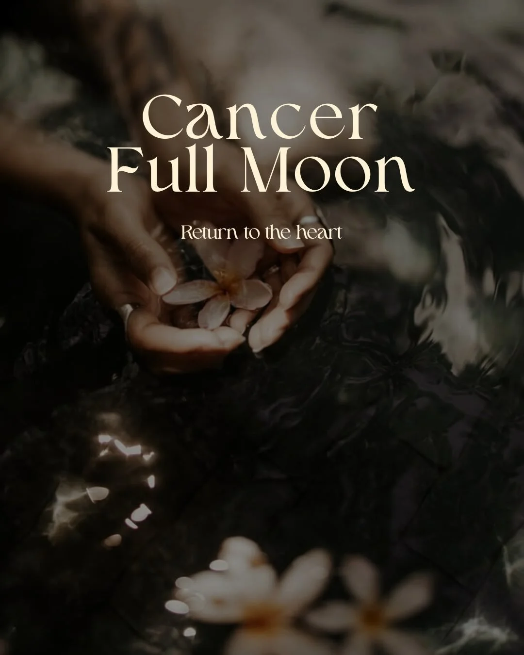 Return to the heart 🤍
The message of the first Super Full Moon of 2026. 🌝

This is not a Moon of action, goals or pressure, this is a Moon of softness, intuition and healing.

#superfullmoon #cancerfullmoon #feelingishealing