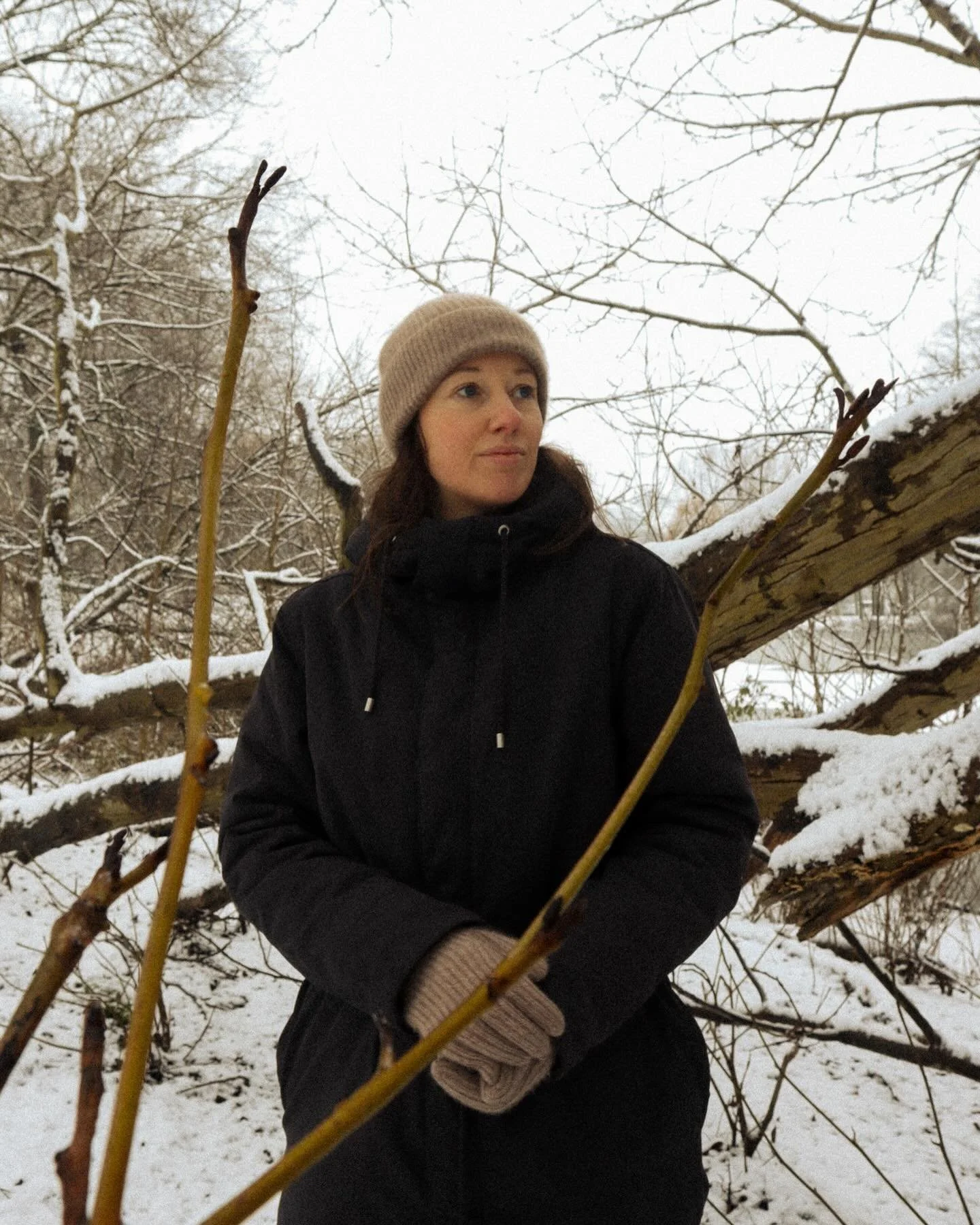 Winter is for Dreaming🌛💭

Nature comes to stillness. She lays down her white blanket and invites us to rest.

I&rsquo;m not making resolutions this year. I&rsquo;m allowing myself to dream.

Winter is your time to plan (Capricorn), to envision (Aqu