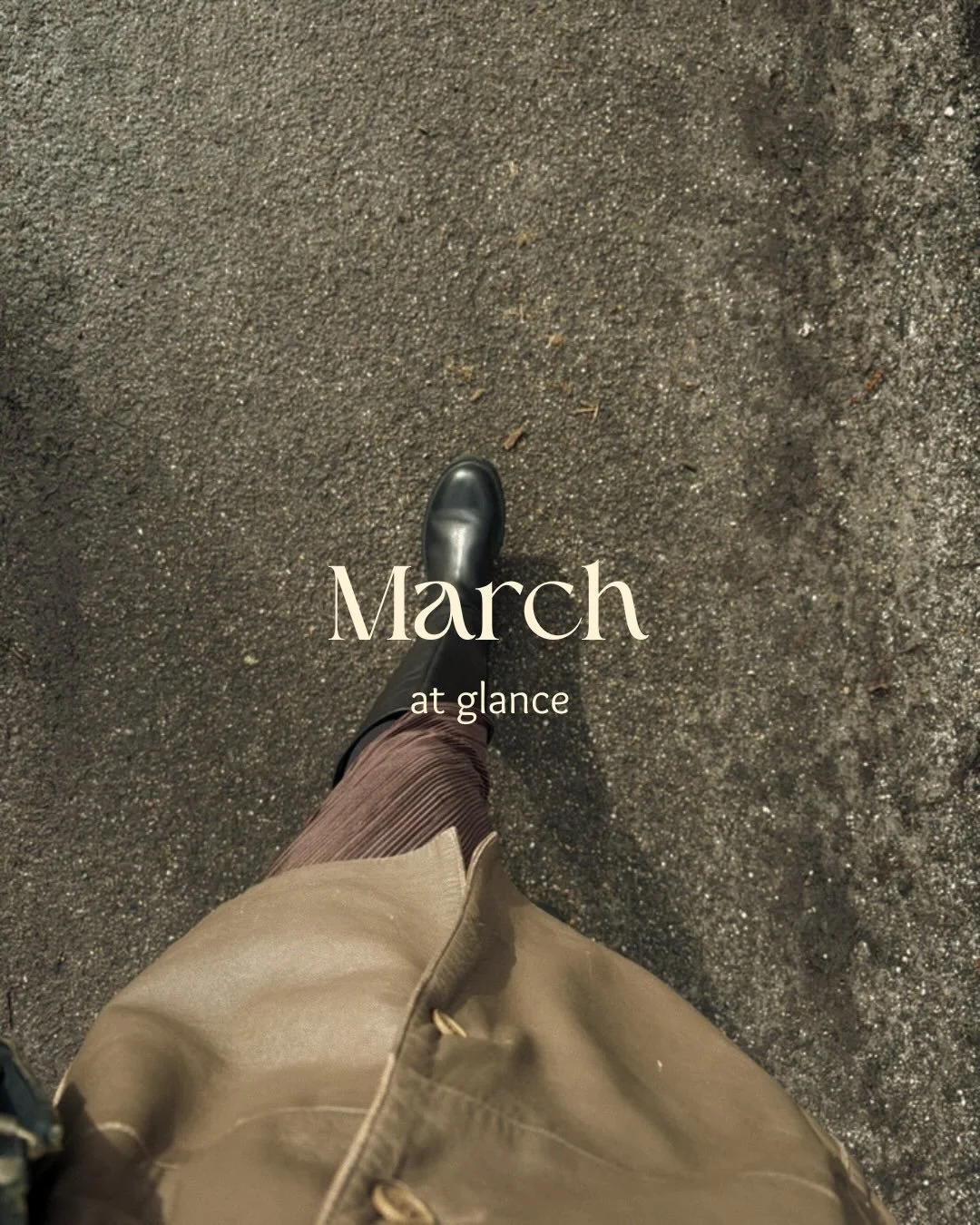 March was a bit of strange month for me, but here are some of my favorite moments.

From snow in the mountains, to the first blossoms falling down.

Spring Equinox celebrations, to new beginnings.

But it was a March to remember 🤎