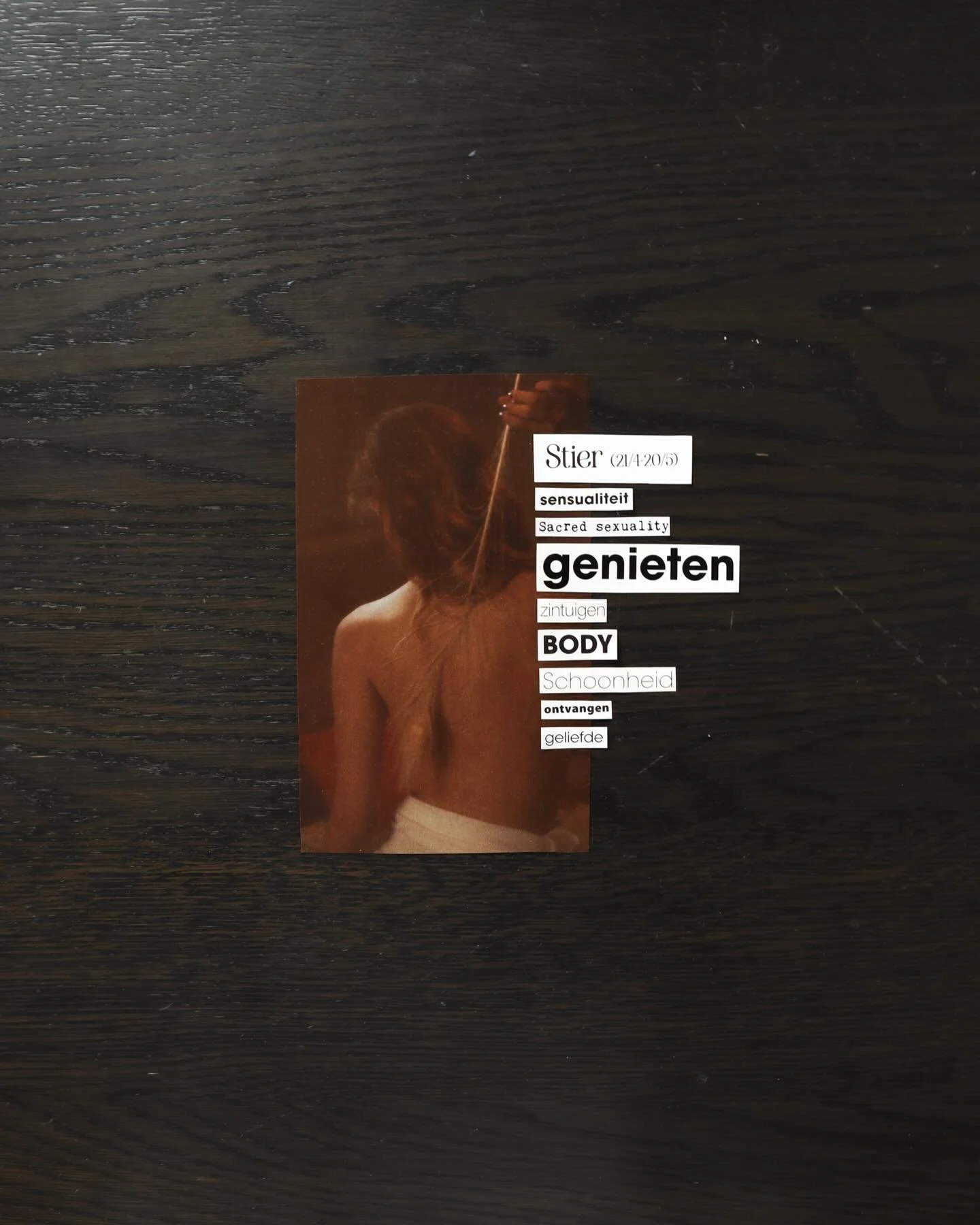 Taurus Season 🐂

Tomorrow, April 20th, at 3:40 AM, the Sun moves into Taurus, and the energy shifts beneath our feet. After the fire of Aries, after that first bright flame of spring, we arrive somewhere quieter. Slower. Closer to the ground.

Tauru