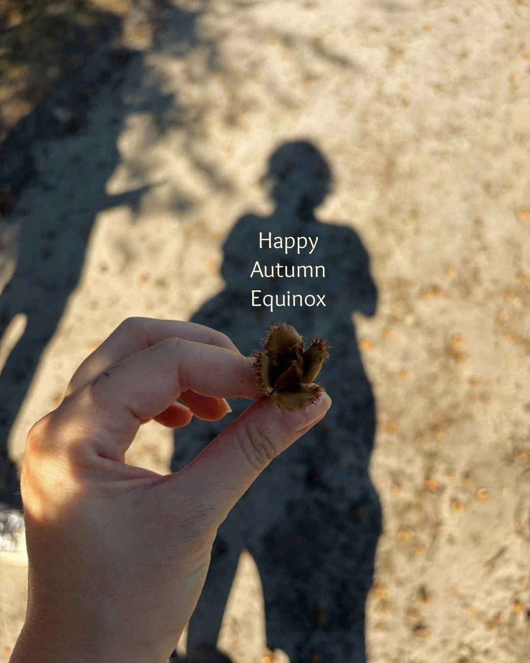 Happy Autumn Equinox!🍁

I wish you all a beautiful change of seasons. That the season of Mother Nature may support your journey.🤎

Little me exploring the Autumn forest.🍂

This is definitely the Autumn I am most looking forward to. Welcoming our A