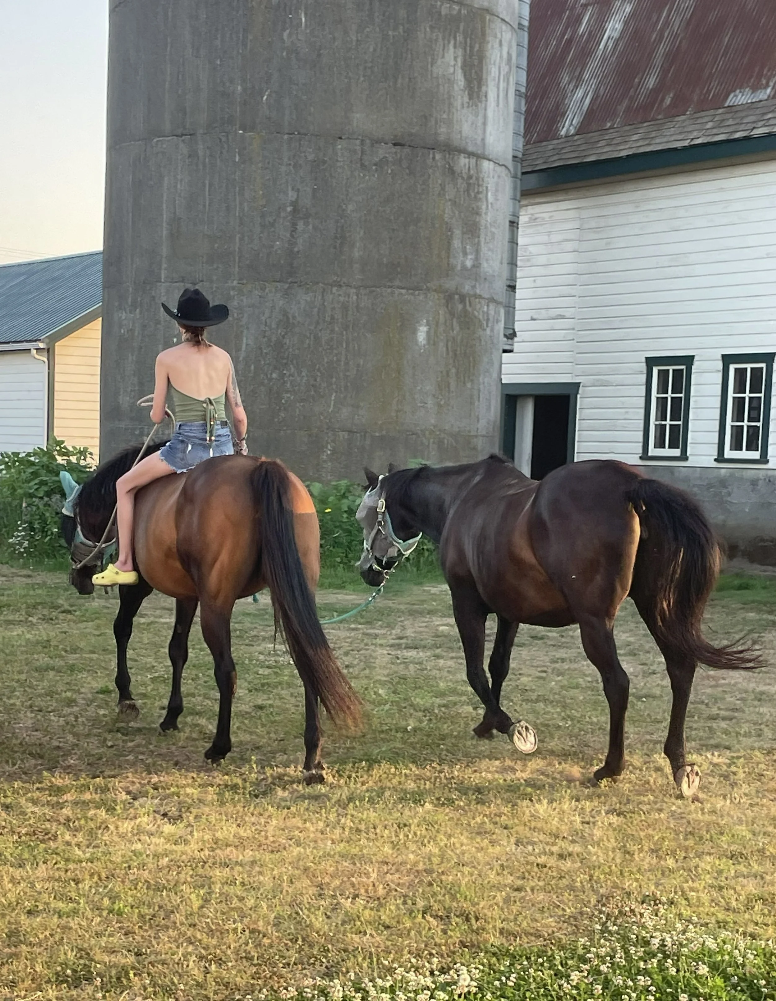 Horses Can Ease Anxiety