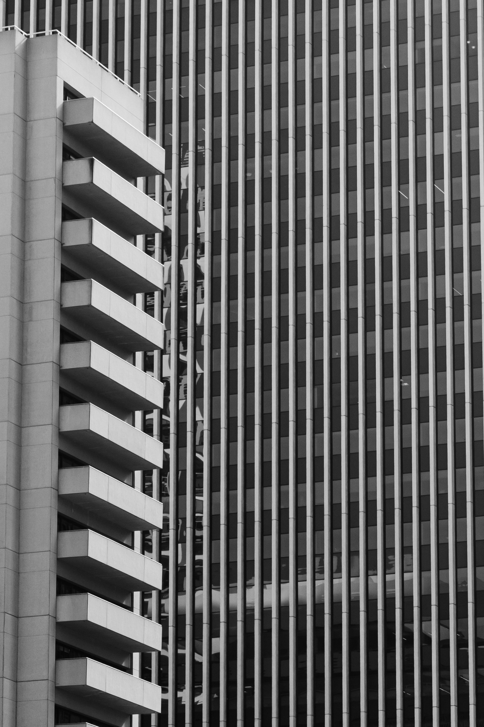 Lines In The City
