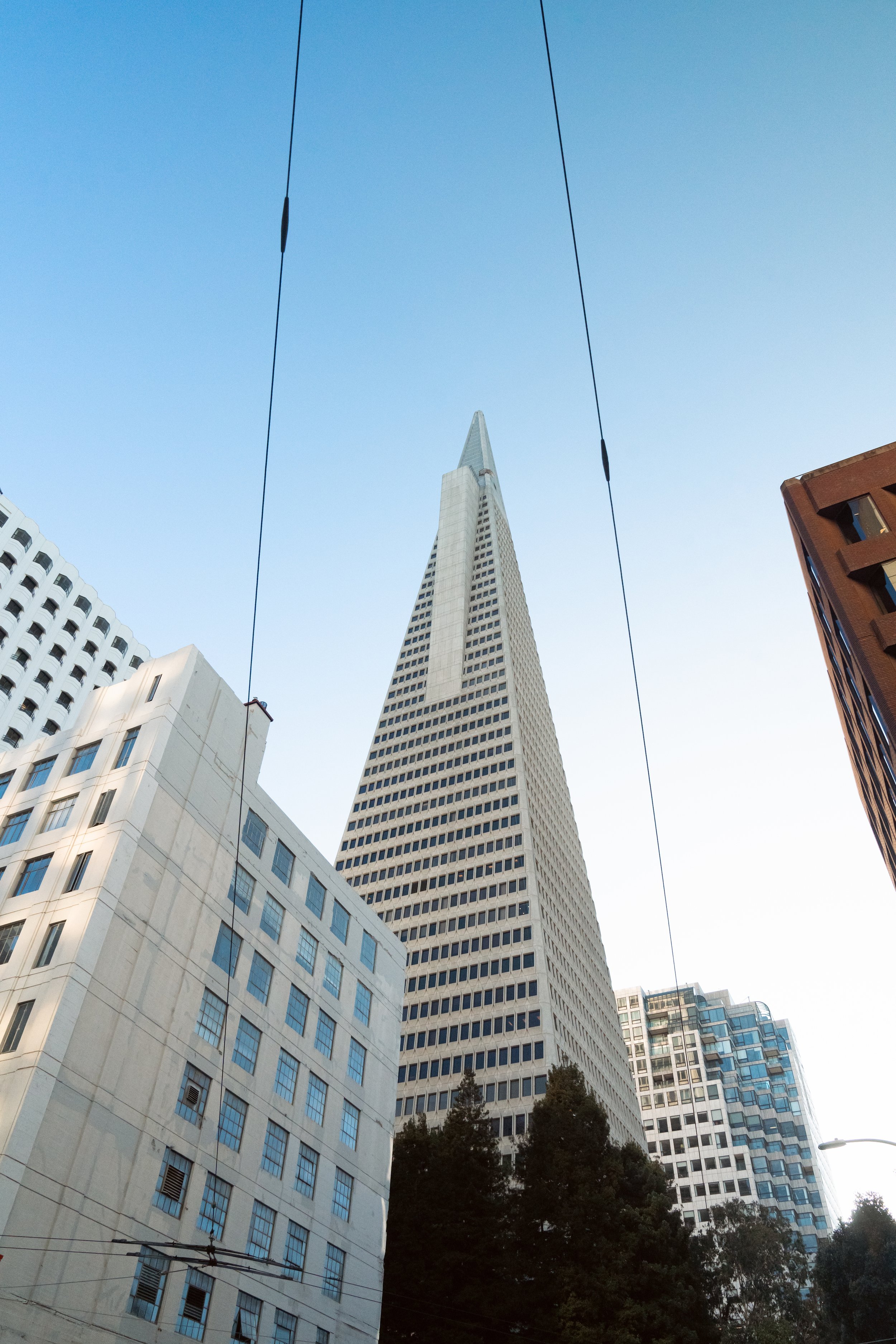 Transamerica tower-7 copy.jpg