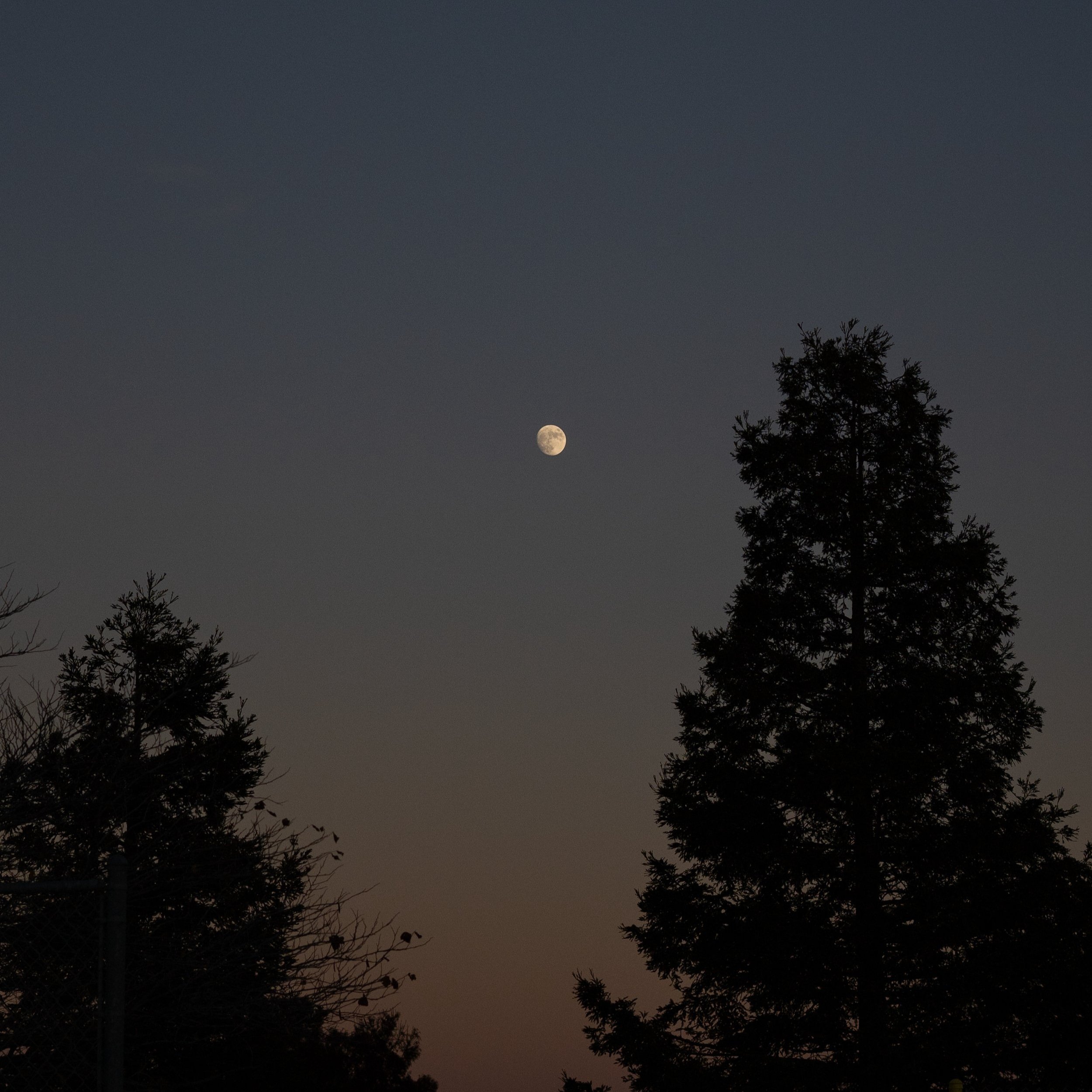 Moon Rising