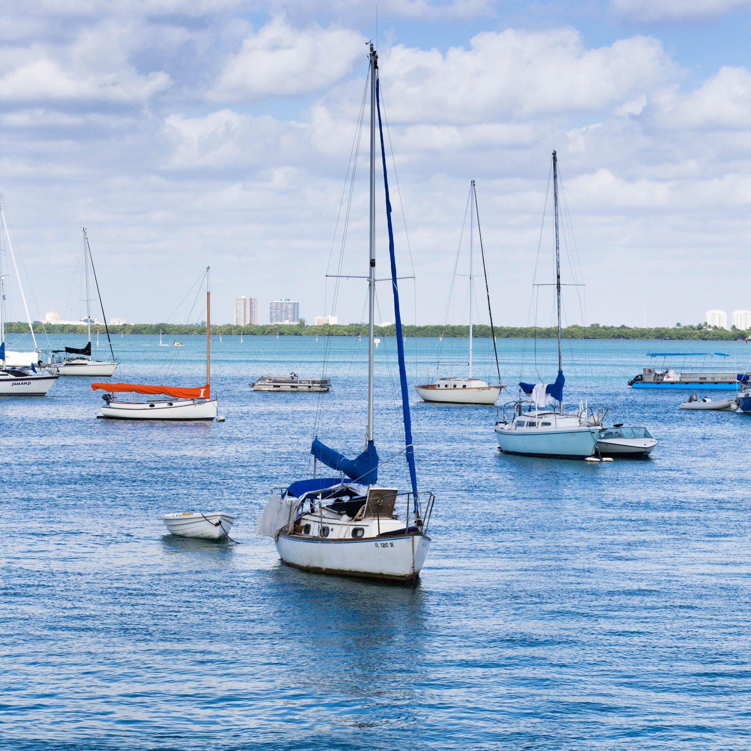In+Harbor+-+resized.jpg