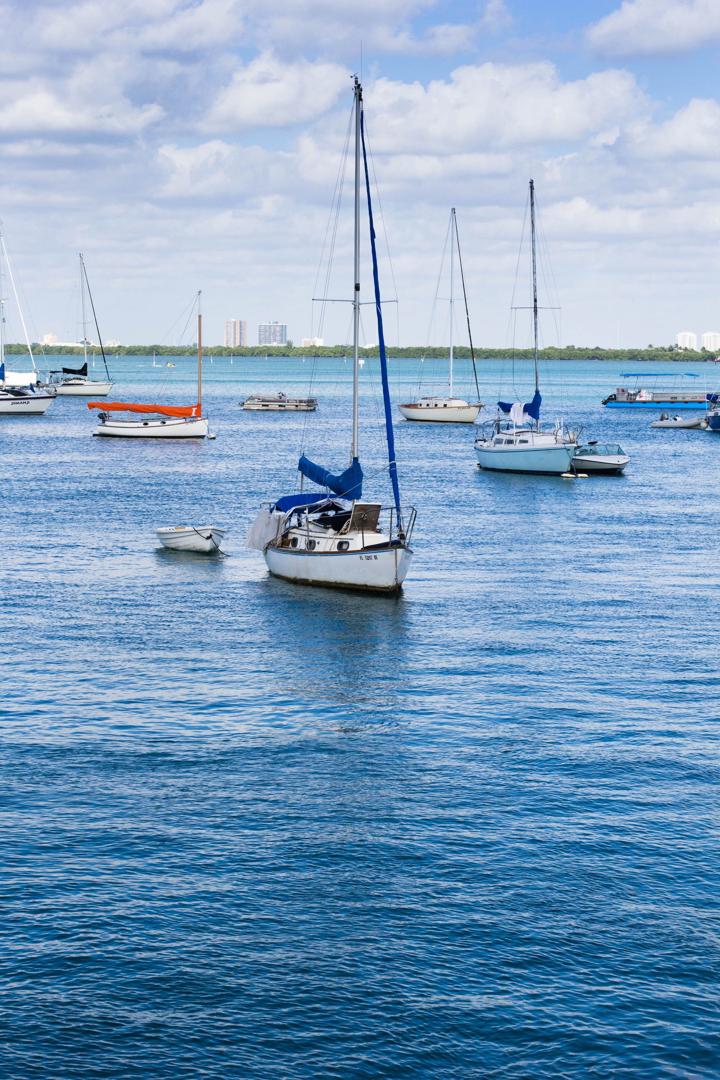 In Harbor - resized.jpg