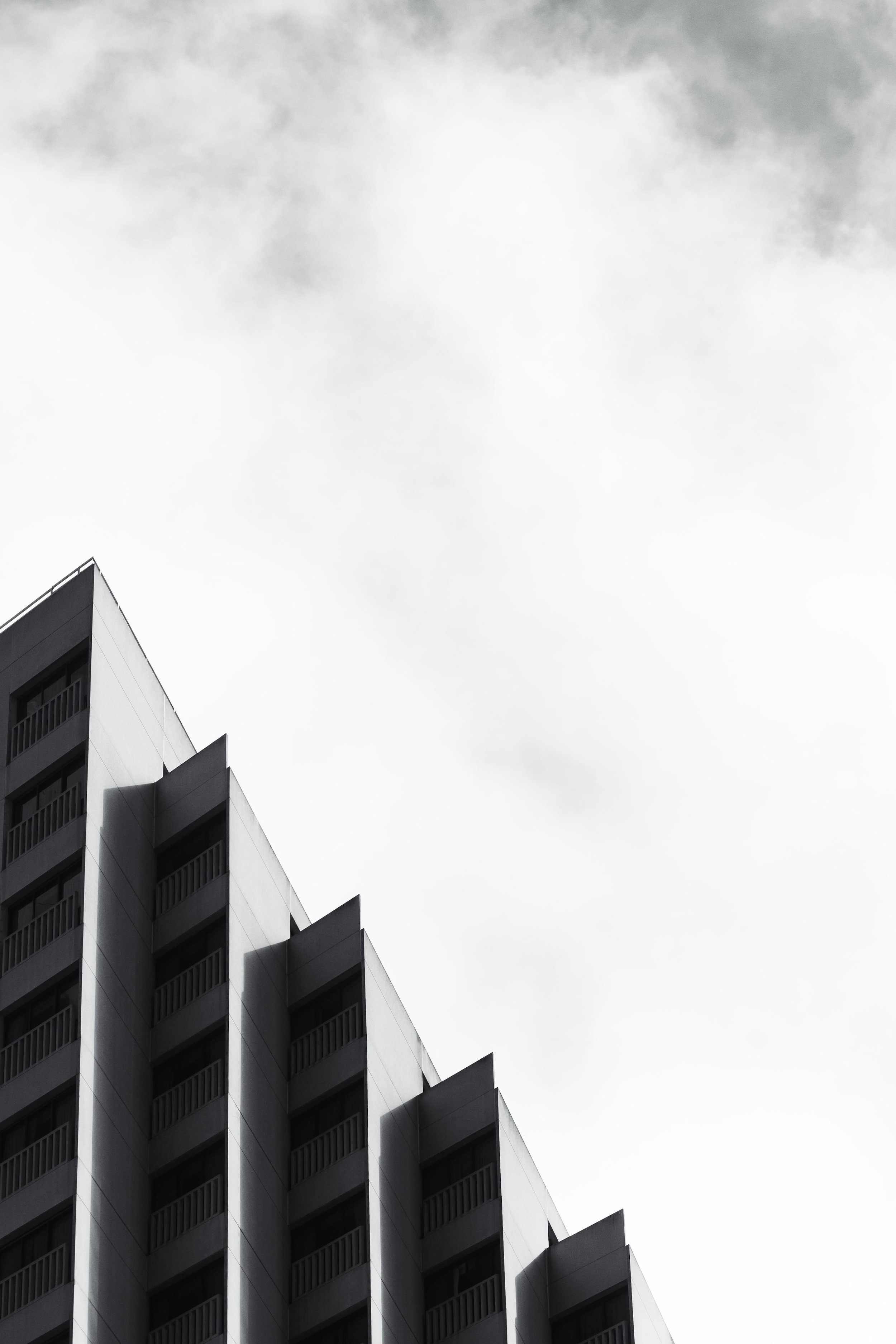 Chamelos at Embarcadero-43.jpg
