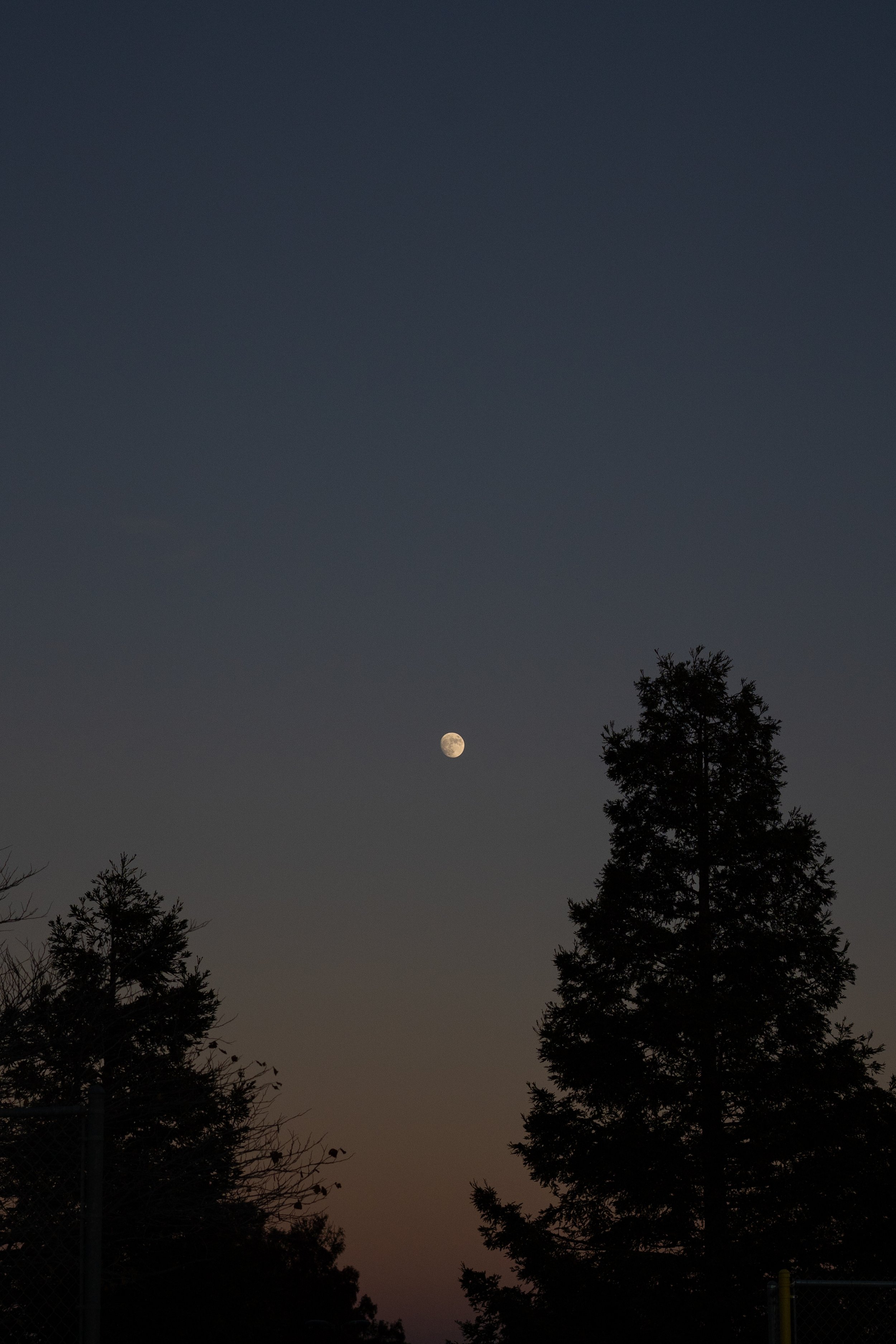 Moon rising - resized.jpg