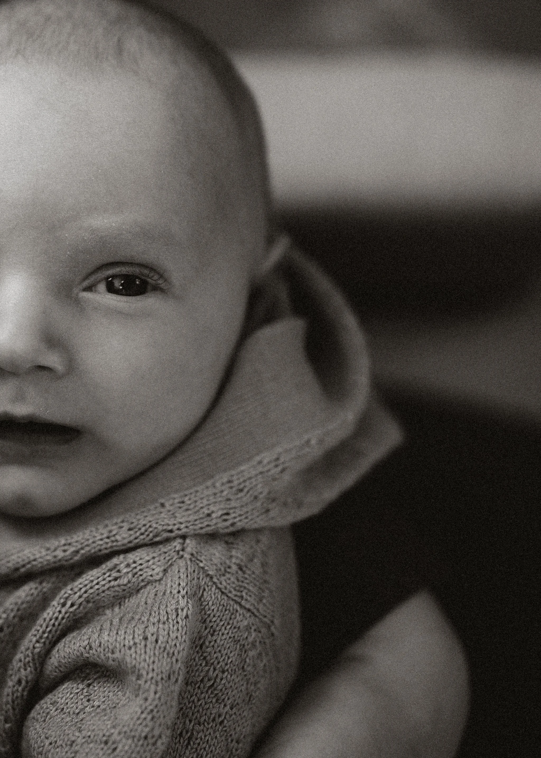 _DSC7635-Copy1 (1).jpg