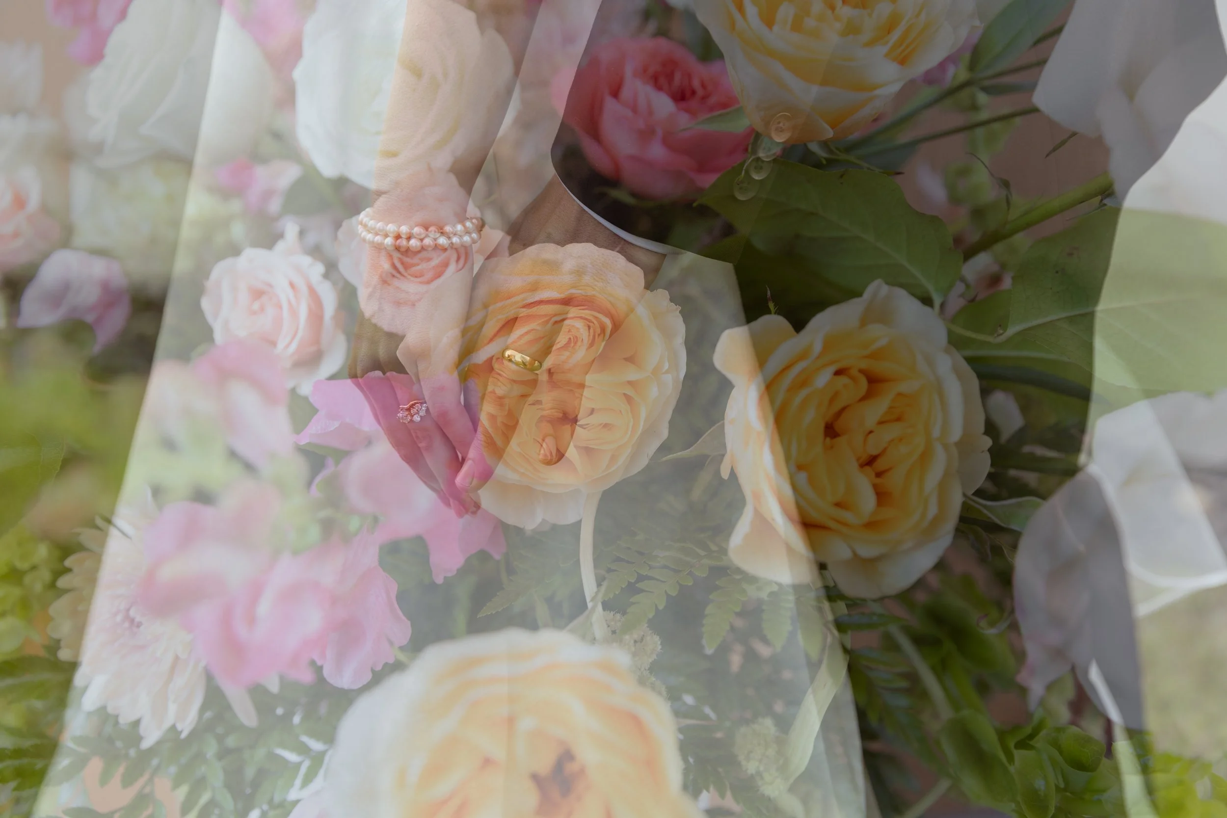 IMG_0205.jpg