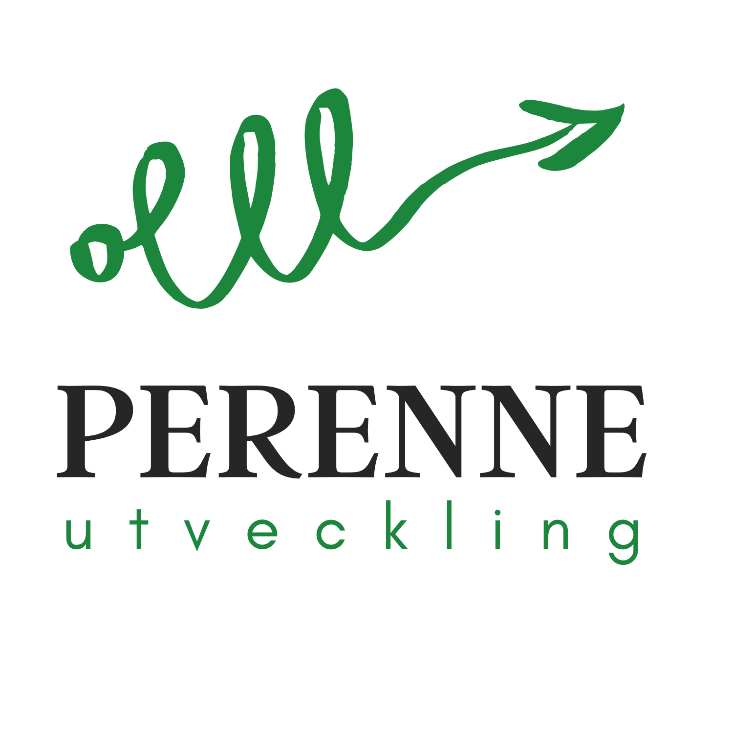 Perenne Utveckling - erbjuder coaching till företag, privat och skolor