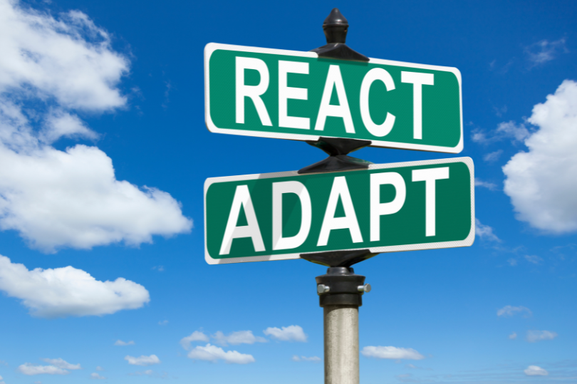 Adaptability in Strong Teams