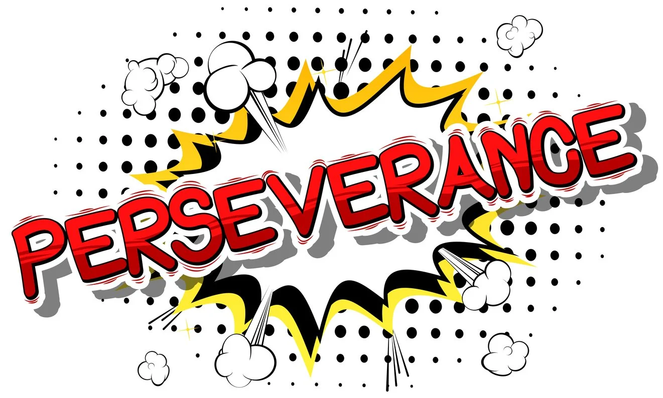 Module Thirteen: Perseverance