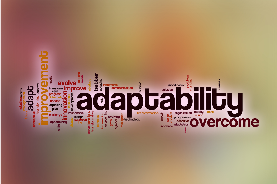 Adaptability