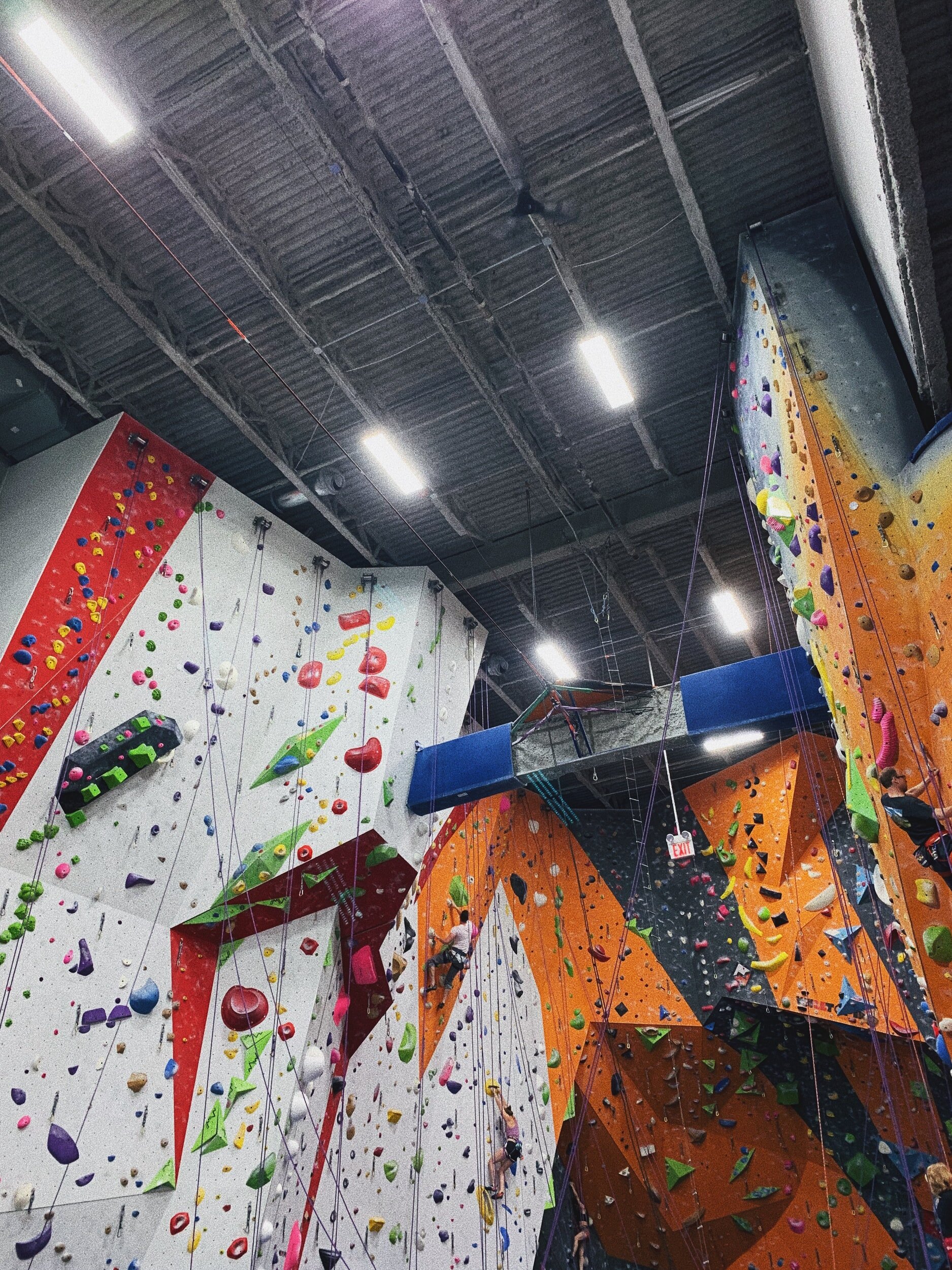 Basic Intro to Climbing & RCI Training (Rock Climbing Instructor)