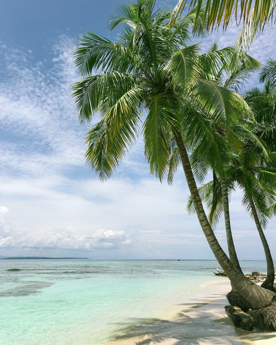 Friday dreams 🏝 Have a wonderful weekend! 🥂⠀⠀⠀⠀⠀⠀⠀⠀⠀
⠀⠀⠀⠀⠀⠀⠀⠀⠀
🌿 Aesthetic Genesis⠀⠀⠀⠀⠀⠀⠀⠀⠀
📱 310-543-2323⠀⠀⠀⠀⠀⠀⠀⠀⠀
⠀⠀⠀⠀⠀⠀⠀⠀⠀
#aestheticgenesis #southbaycosmeticdermatology